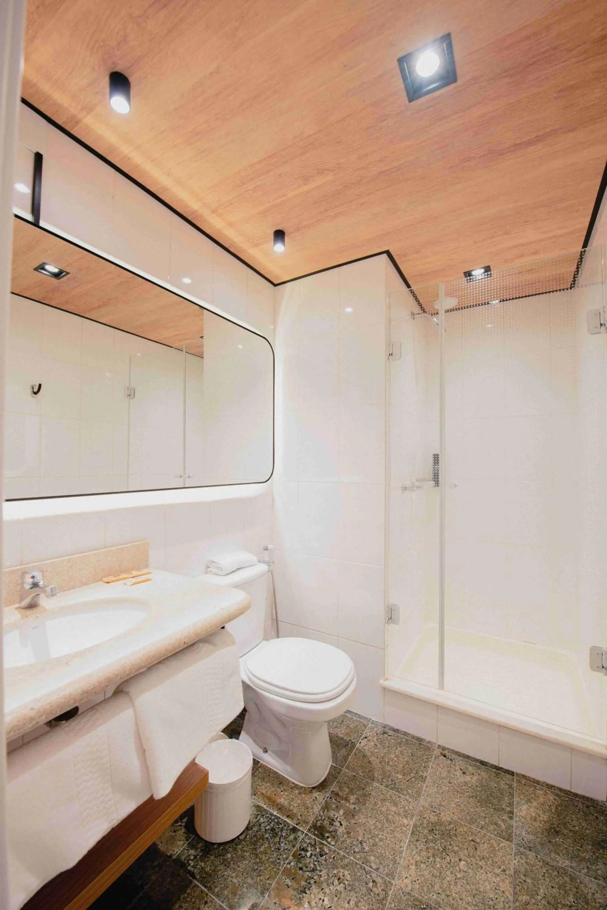 Shower in ibis Curitiba Shopping