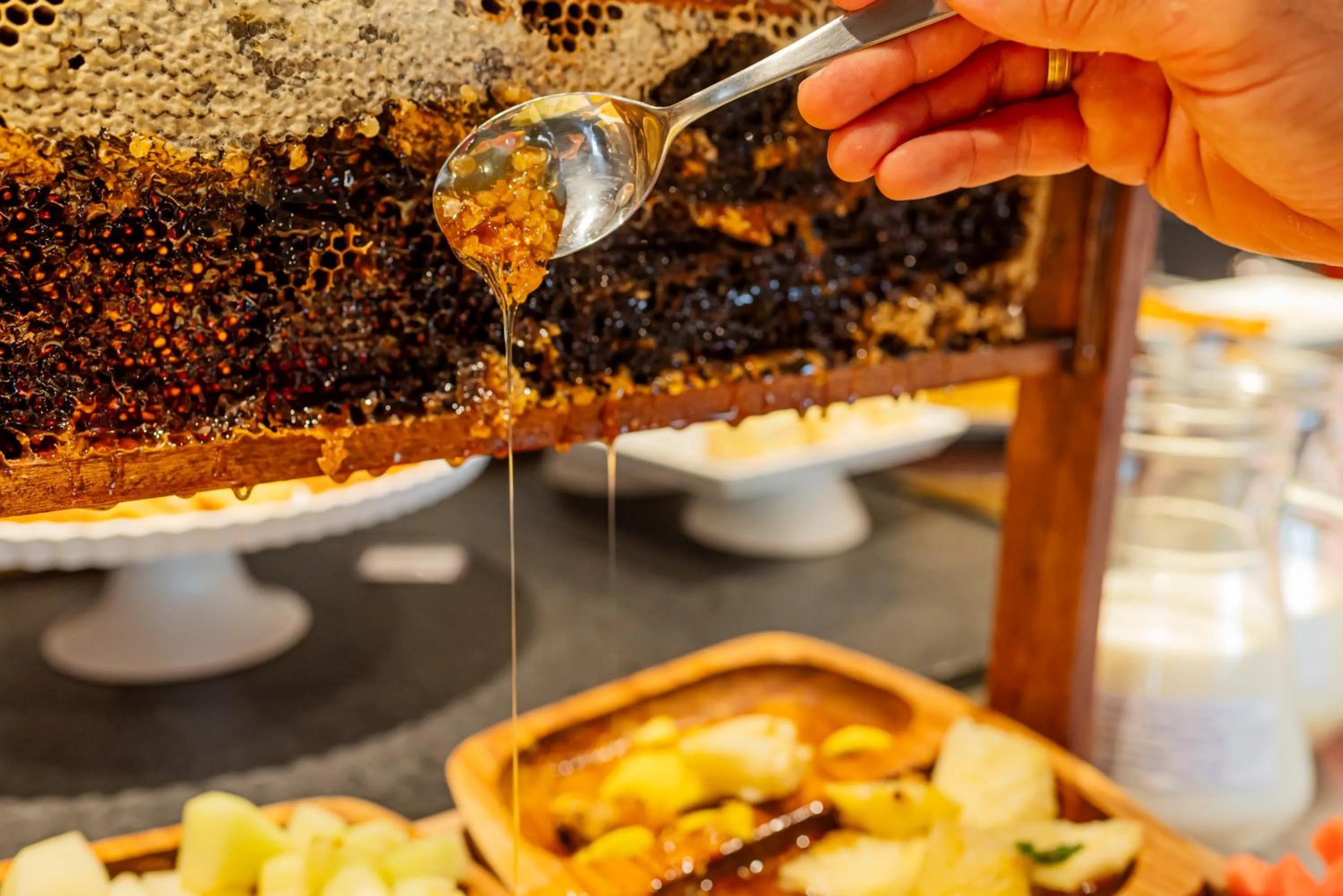 Breakfast in Ibis Florianopolis