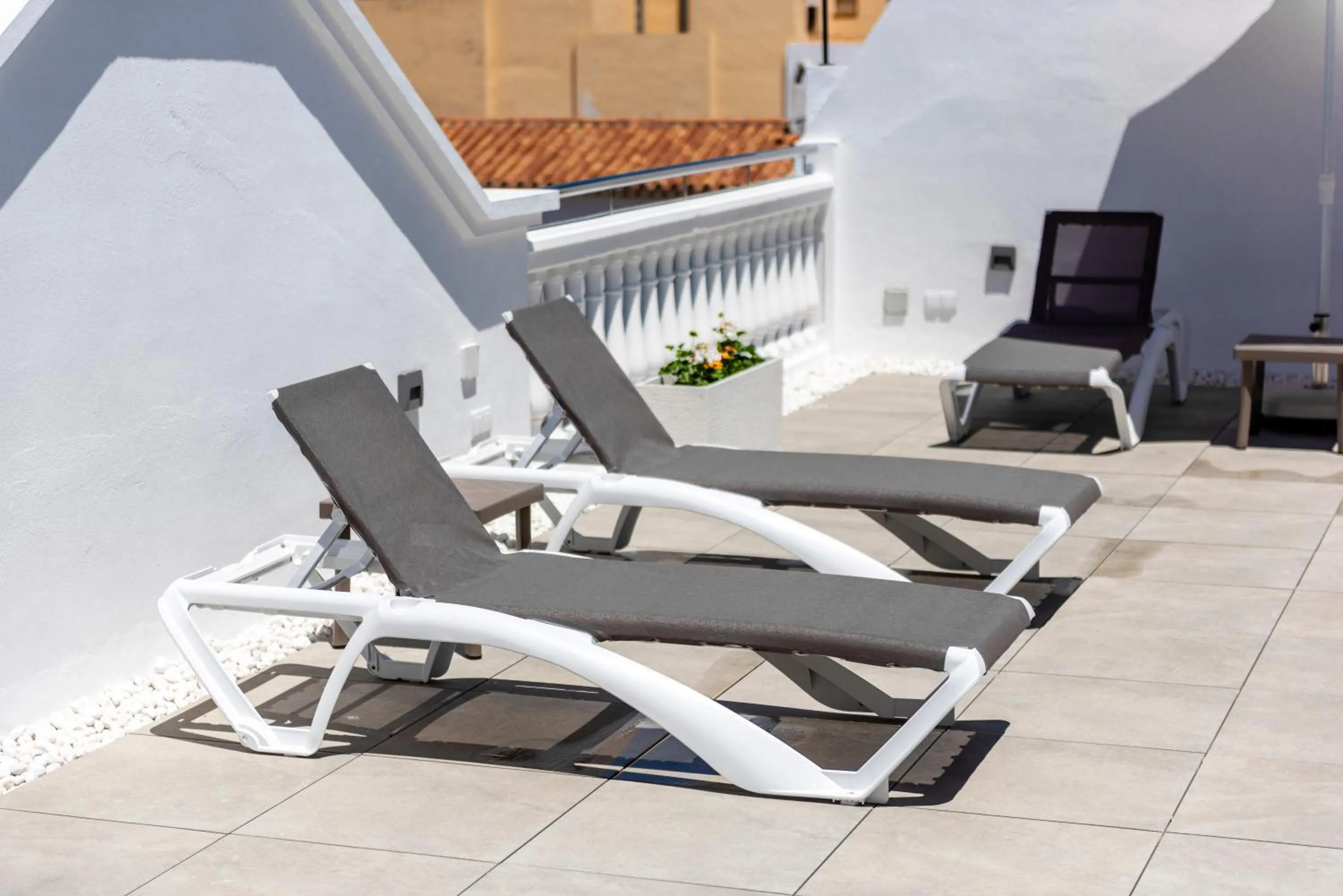 Solarium in Apartamentos Toboso Plaza