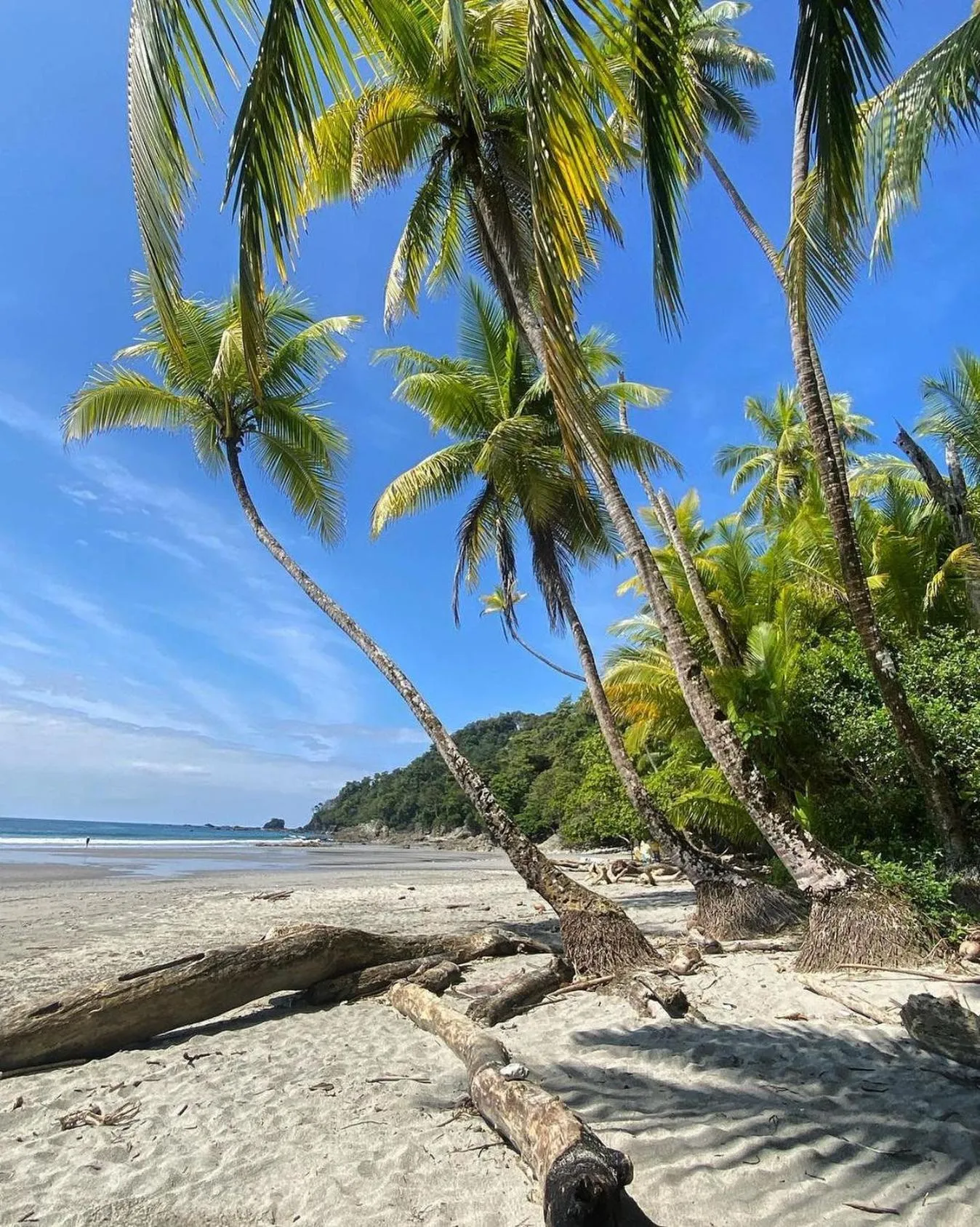 Beach in Makanda by The Sea Hotel Adults Only
