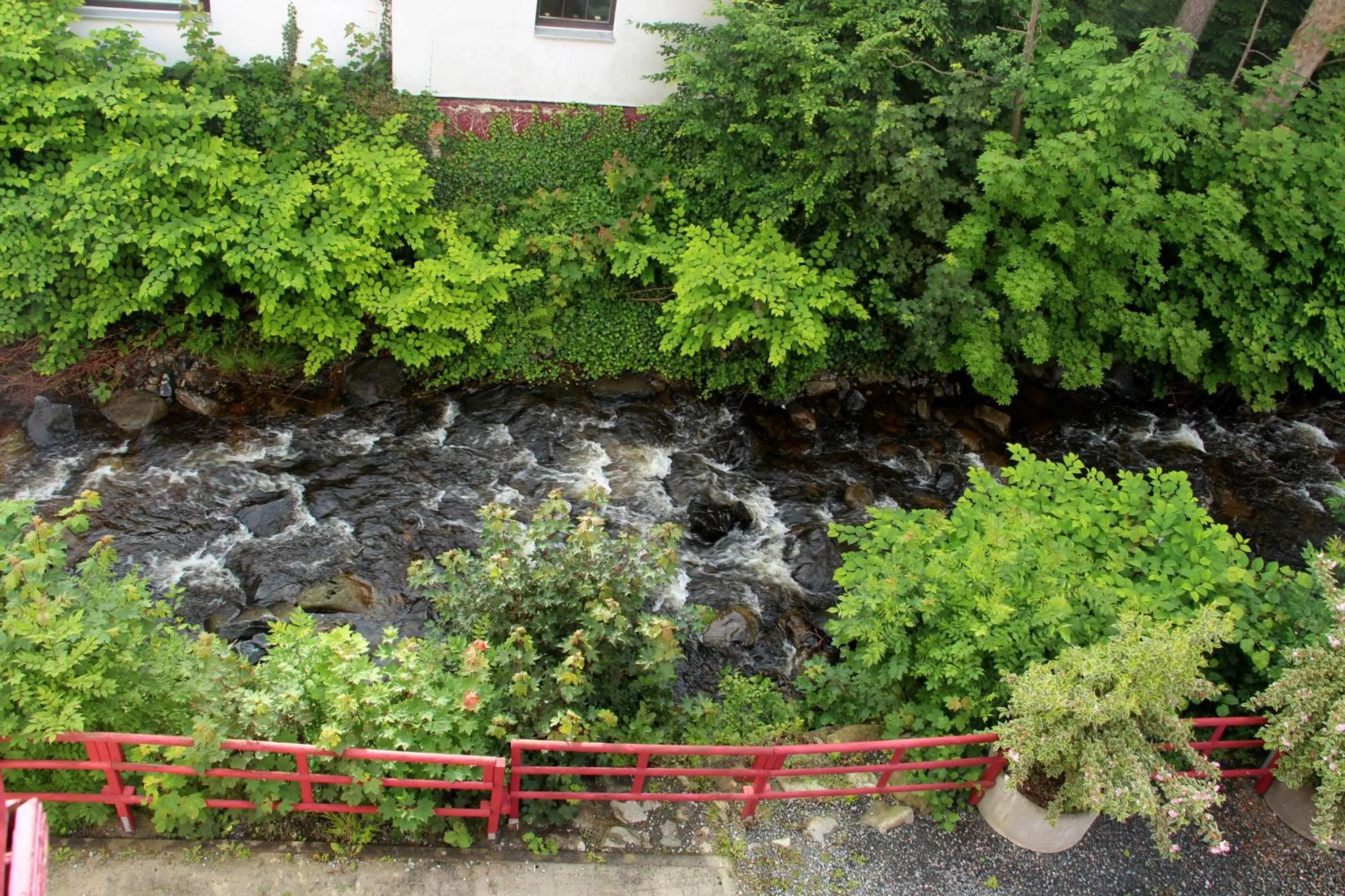 River view in REGIOHOTEL Germania am Kurpark Bad Harzburg