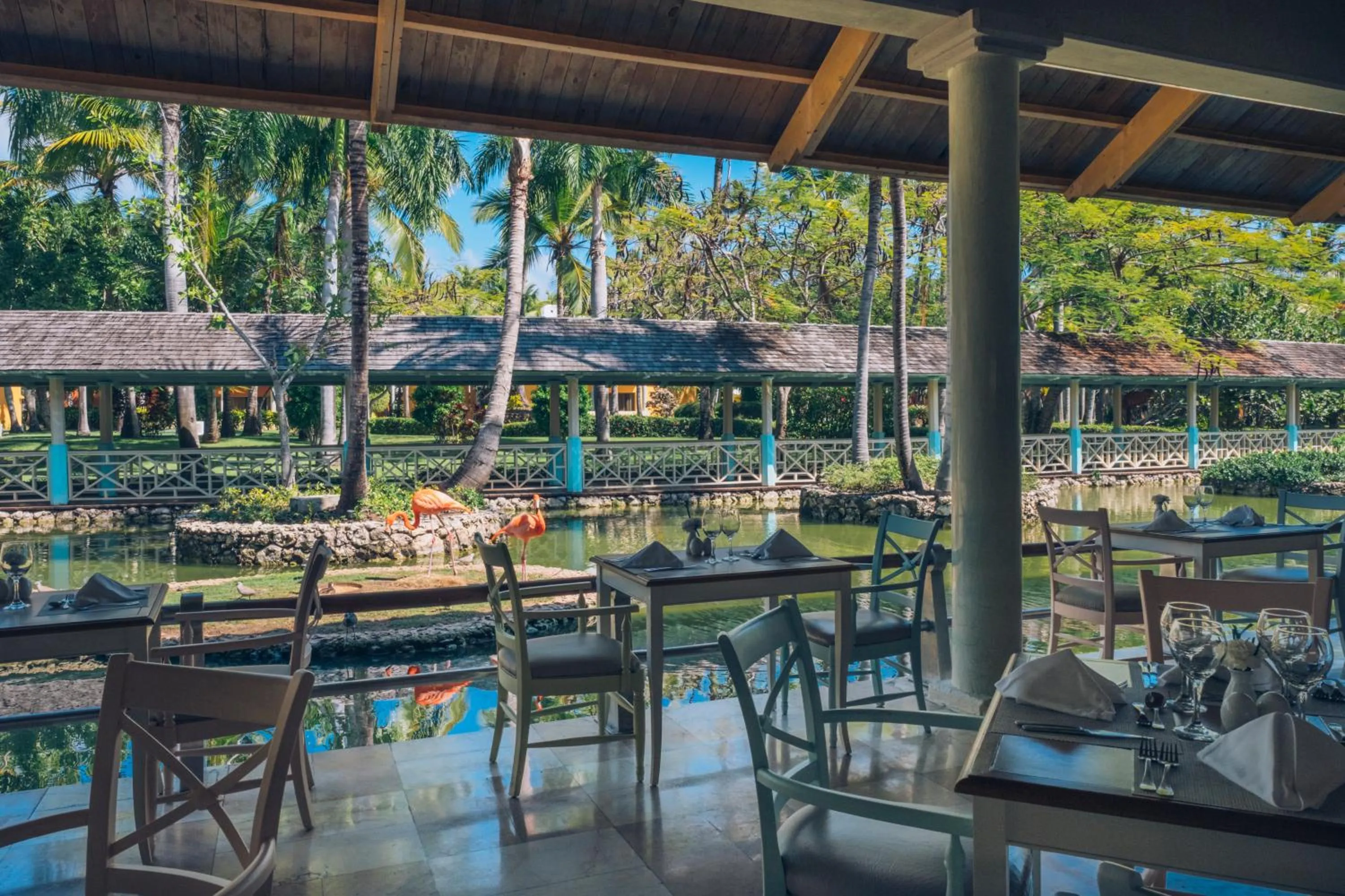 Restaurant/places to eat in Iberostar Selection Bavaro Suites - All Inclusive