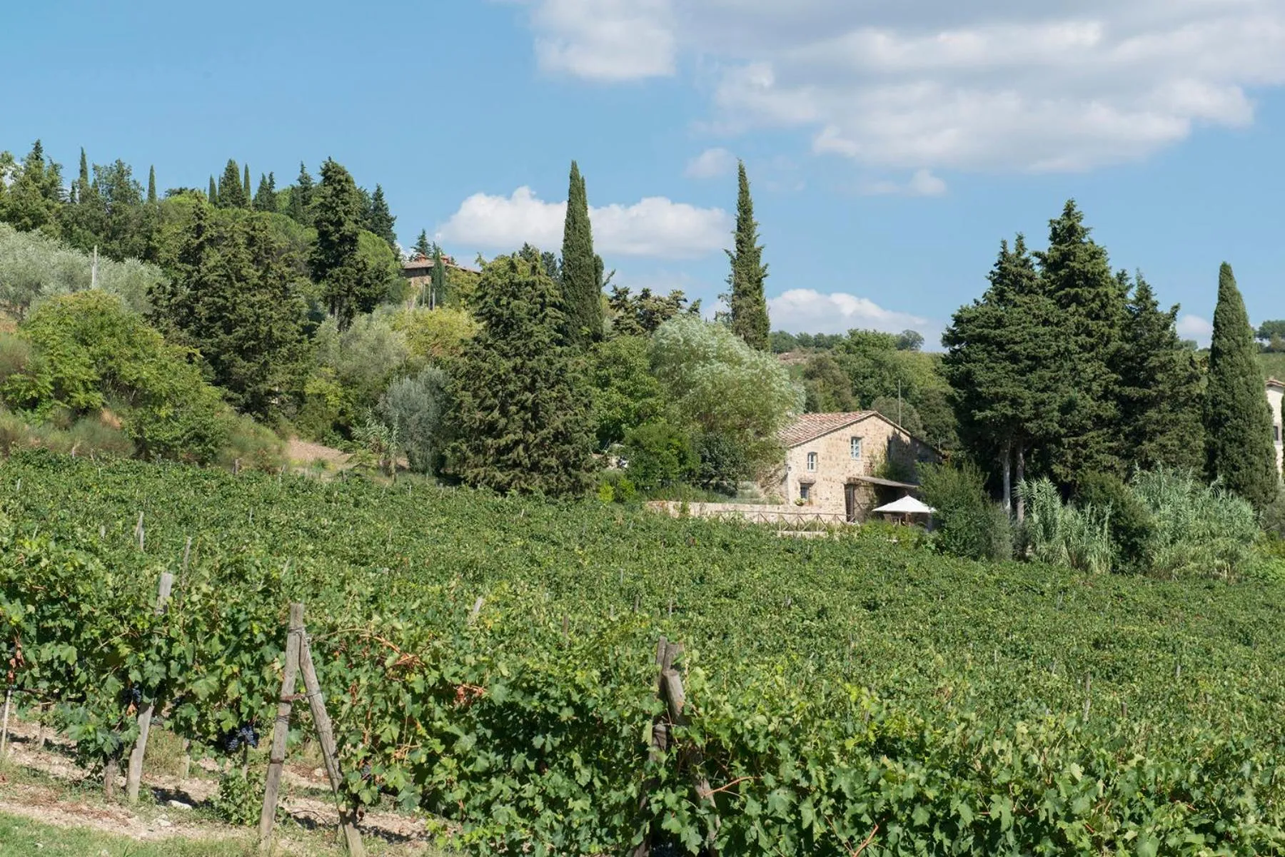 Other in Villa Delle Upupe 8, Emma Villas