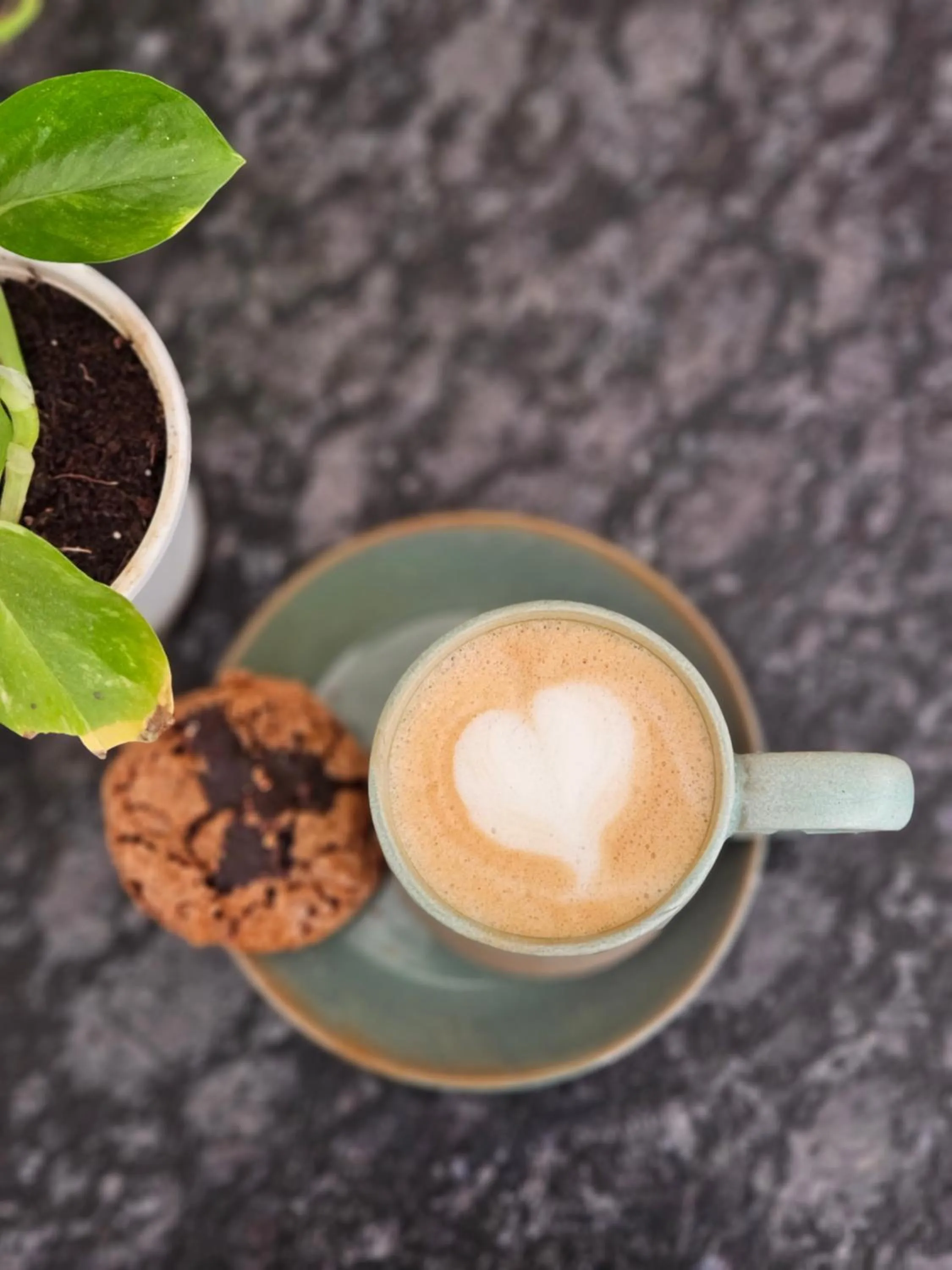 Coffee/tea facilities in The Village Manali- Café, Bar & Bistro