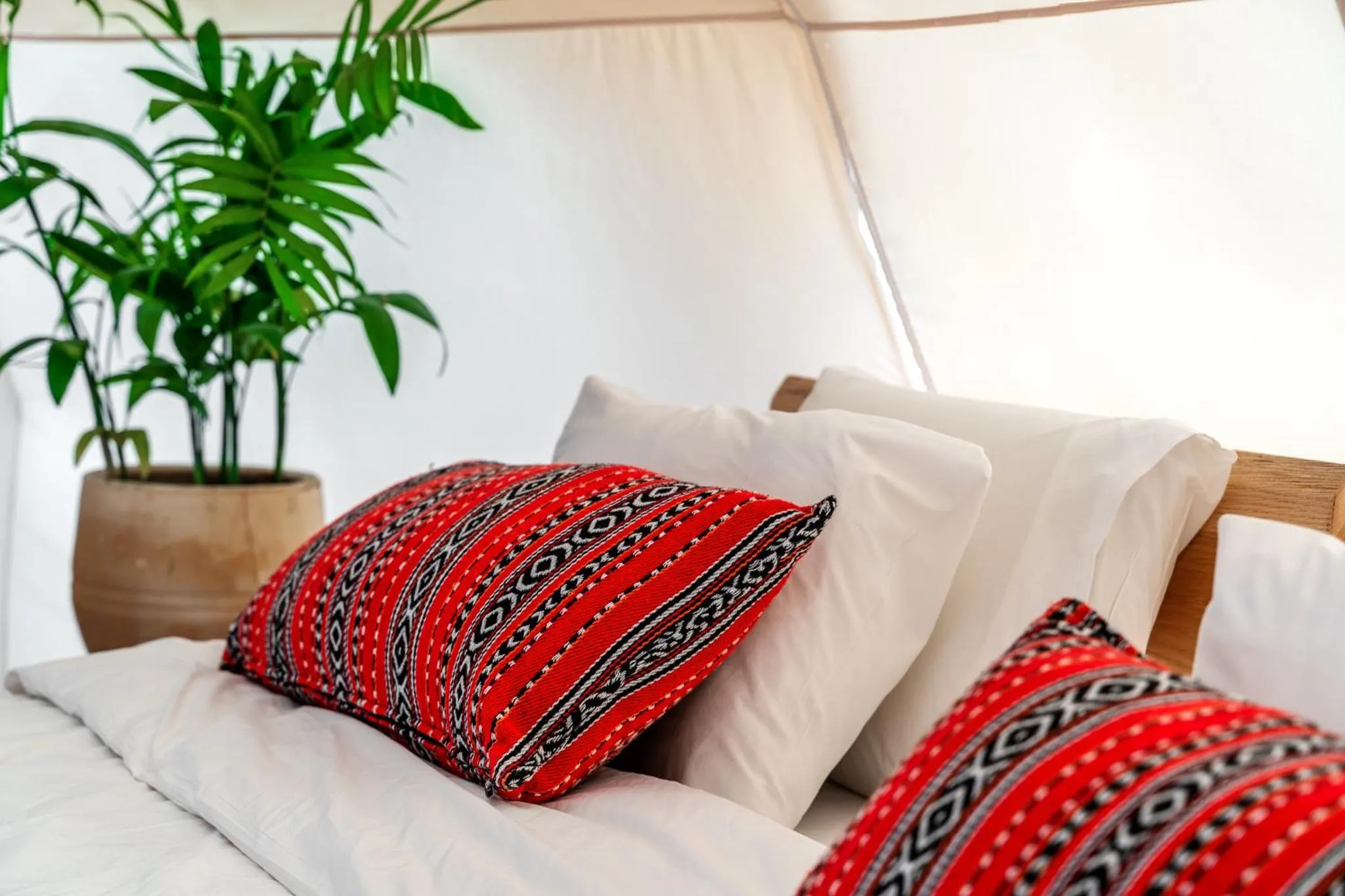 Standard Glamping Tent in Selina Ramon