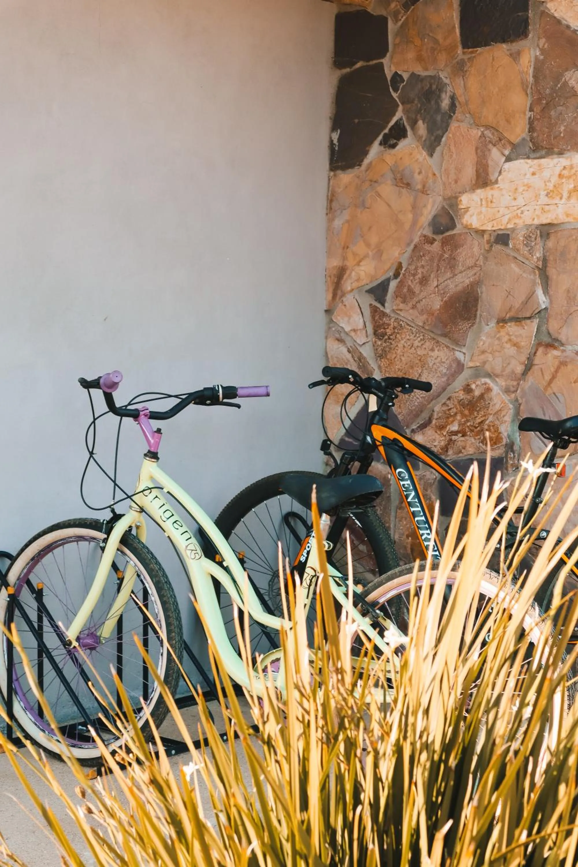 Cycling in Origen75 Loft - Villas - Skypool - Viñedo, Valle de Guadalupe