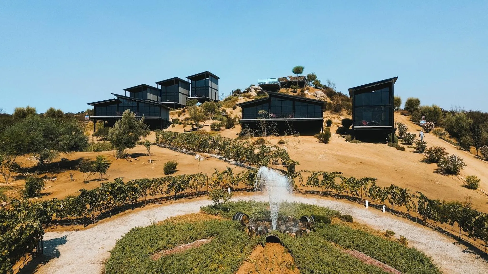 Natural landscape in Origen75 Loft - Villas - Skypool - Viñedo, Valle de Guadalupe