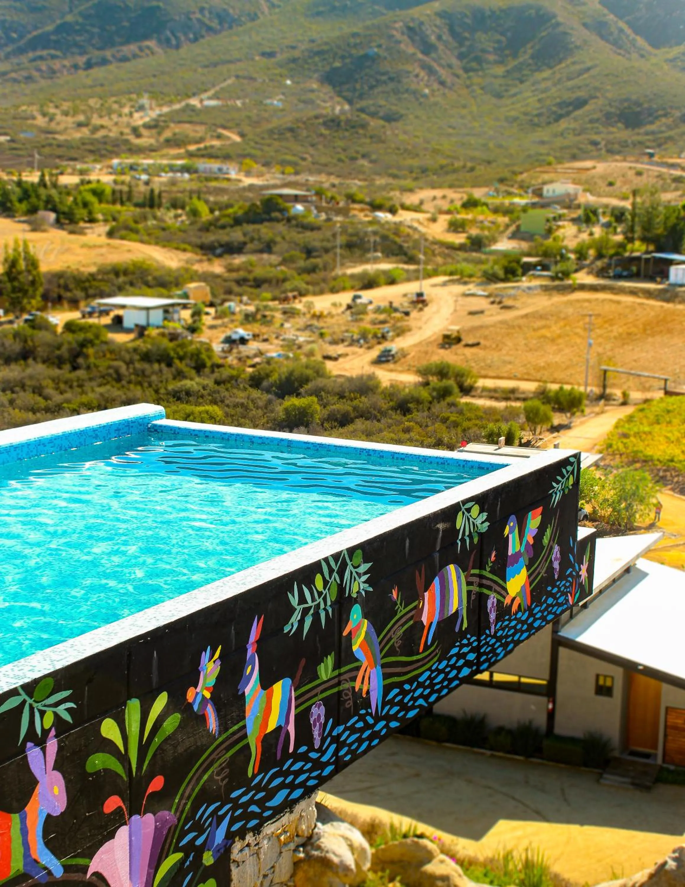 Swimming pool in Origen75 Loft - Villas - Skypool - Viñedo, Valle de Guadalupe