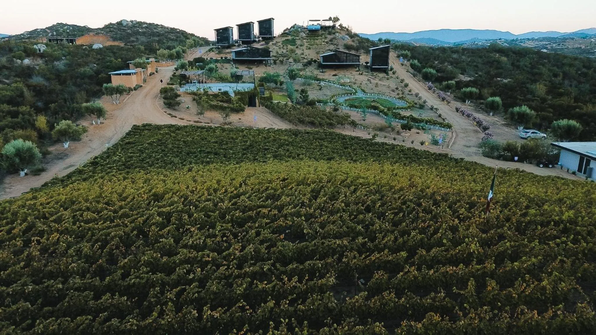 Natural landscape in Origen75 Loft - Villas - Skypool - Viñedo, Valle de Guadalupe