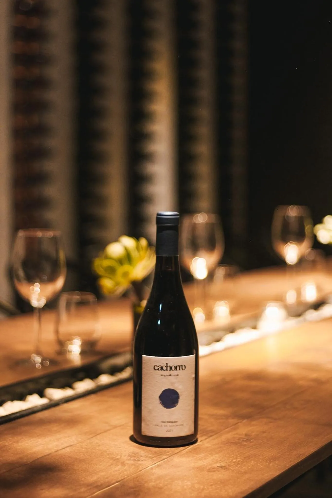 Lounge or bar in Origen75 Loft - Villas - Skypool - Viñedo, Valle de Guadalupe