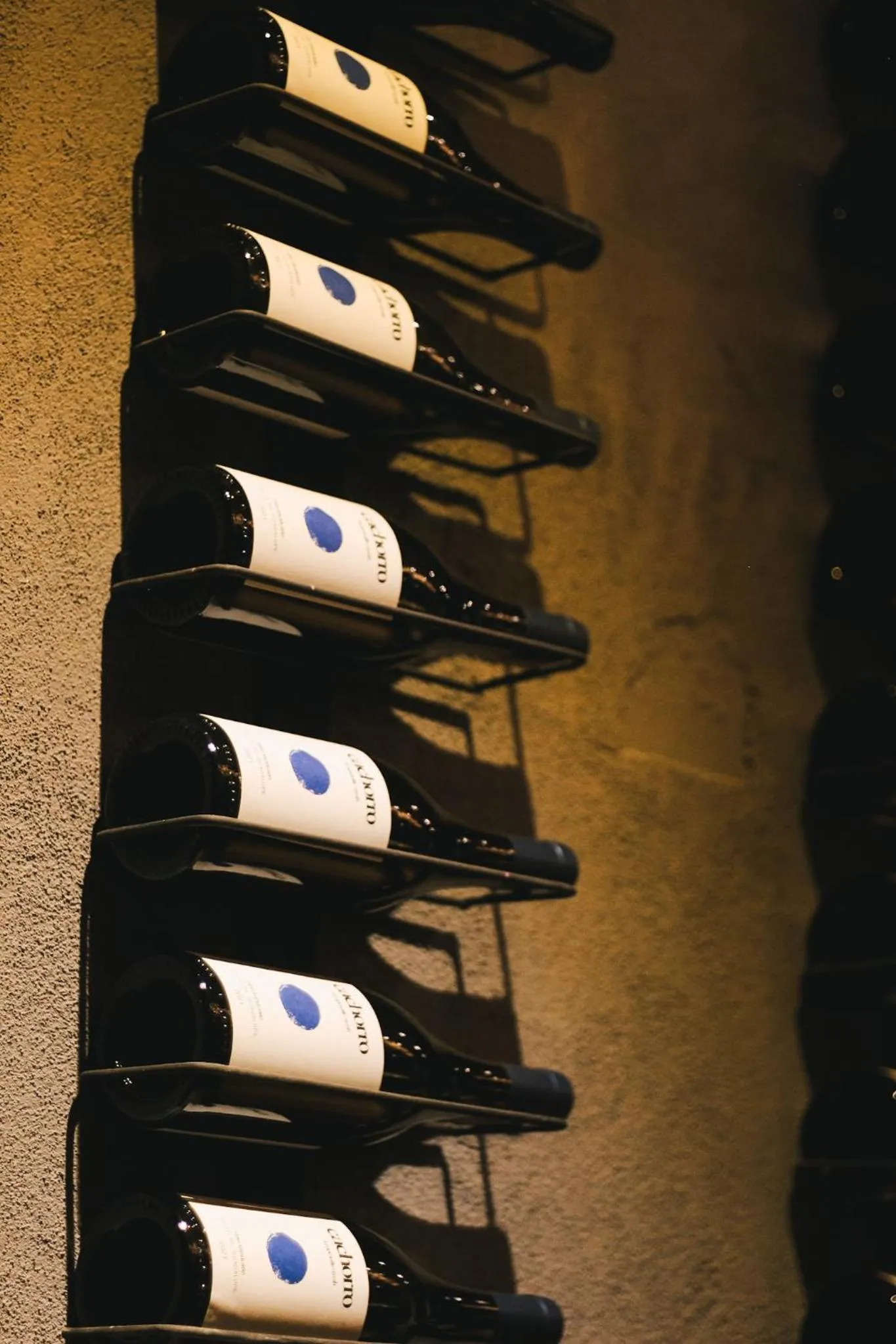 Lounge or bar in Origen75 Loft - Villas - Skypool - Viñedo, Valle de Guadalupe