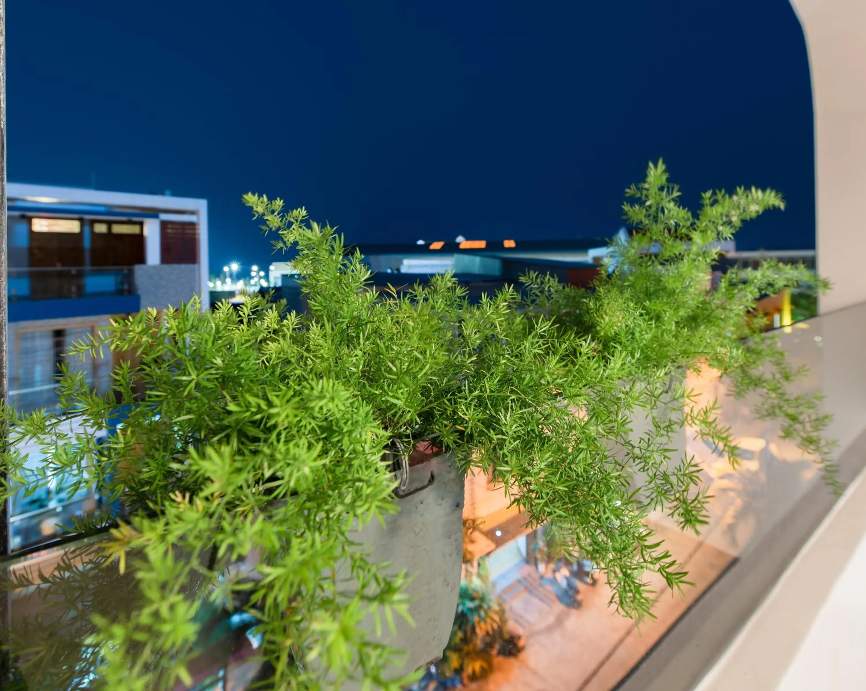 Garden view in Khách sạn gần biển Miami Tuy Hoà Phú Yên