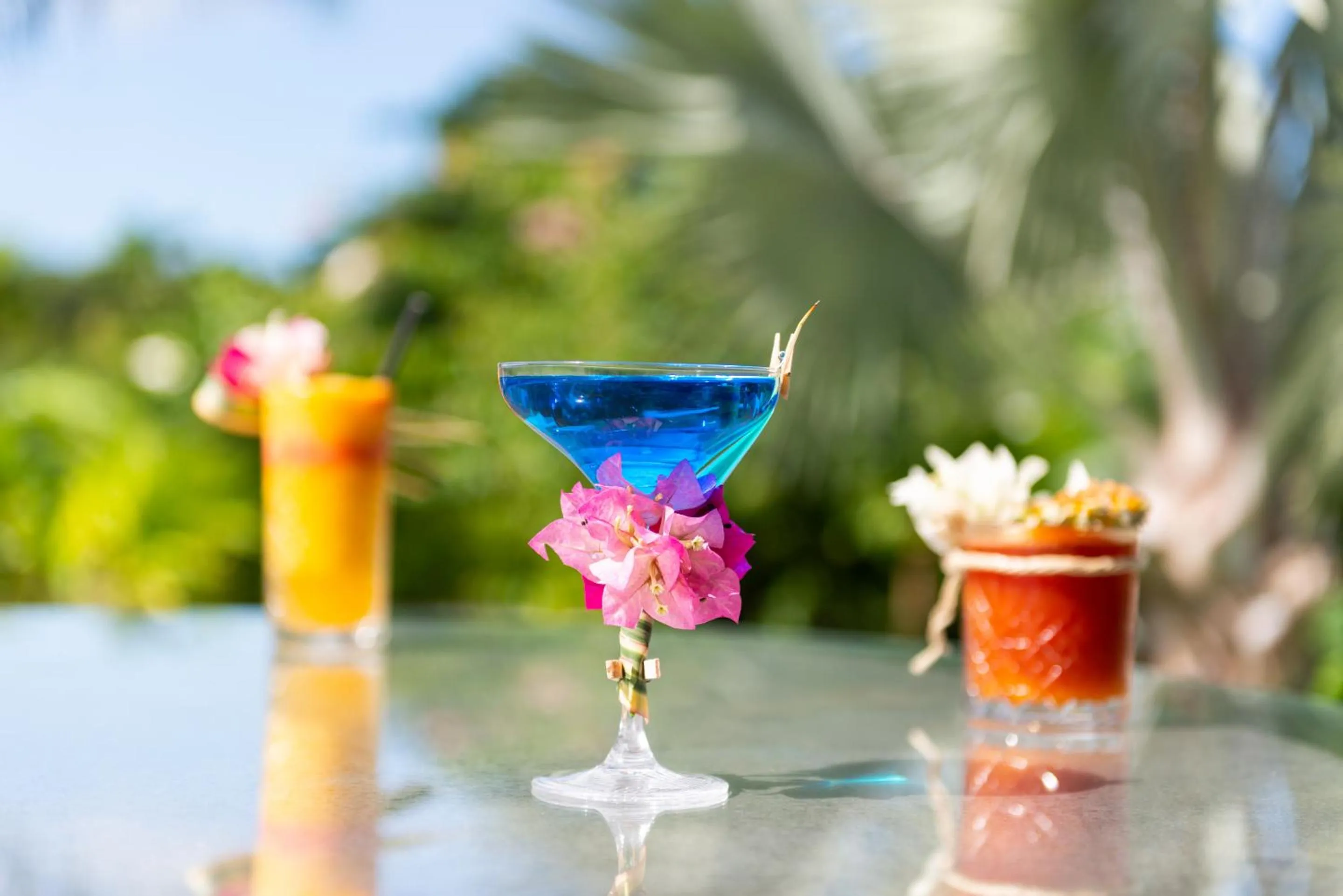 Lounge or bar in Villa Saint Jean - Habitation Saint Charles