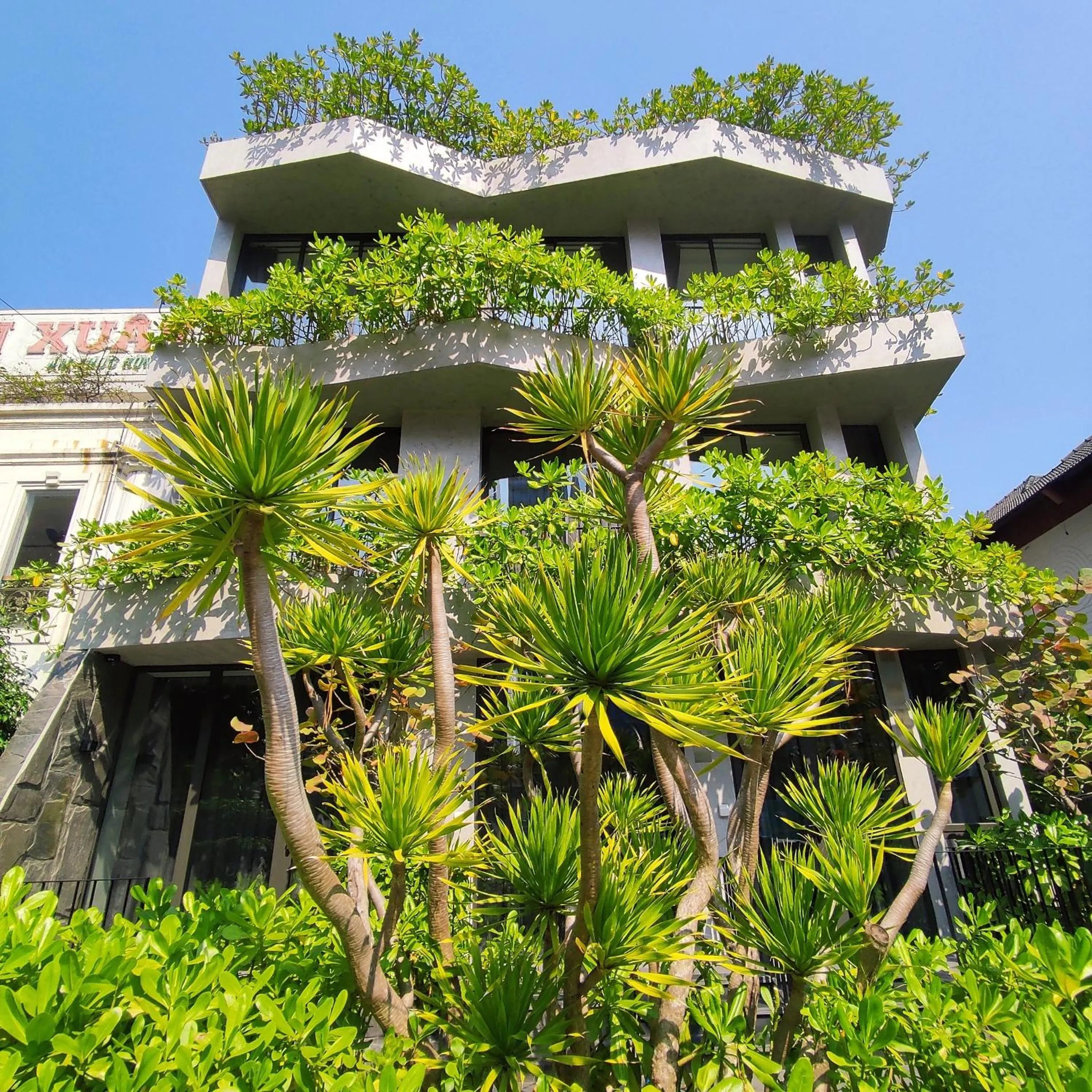 Property building in M SUITE Danang Beach