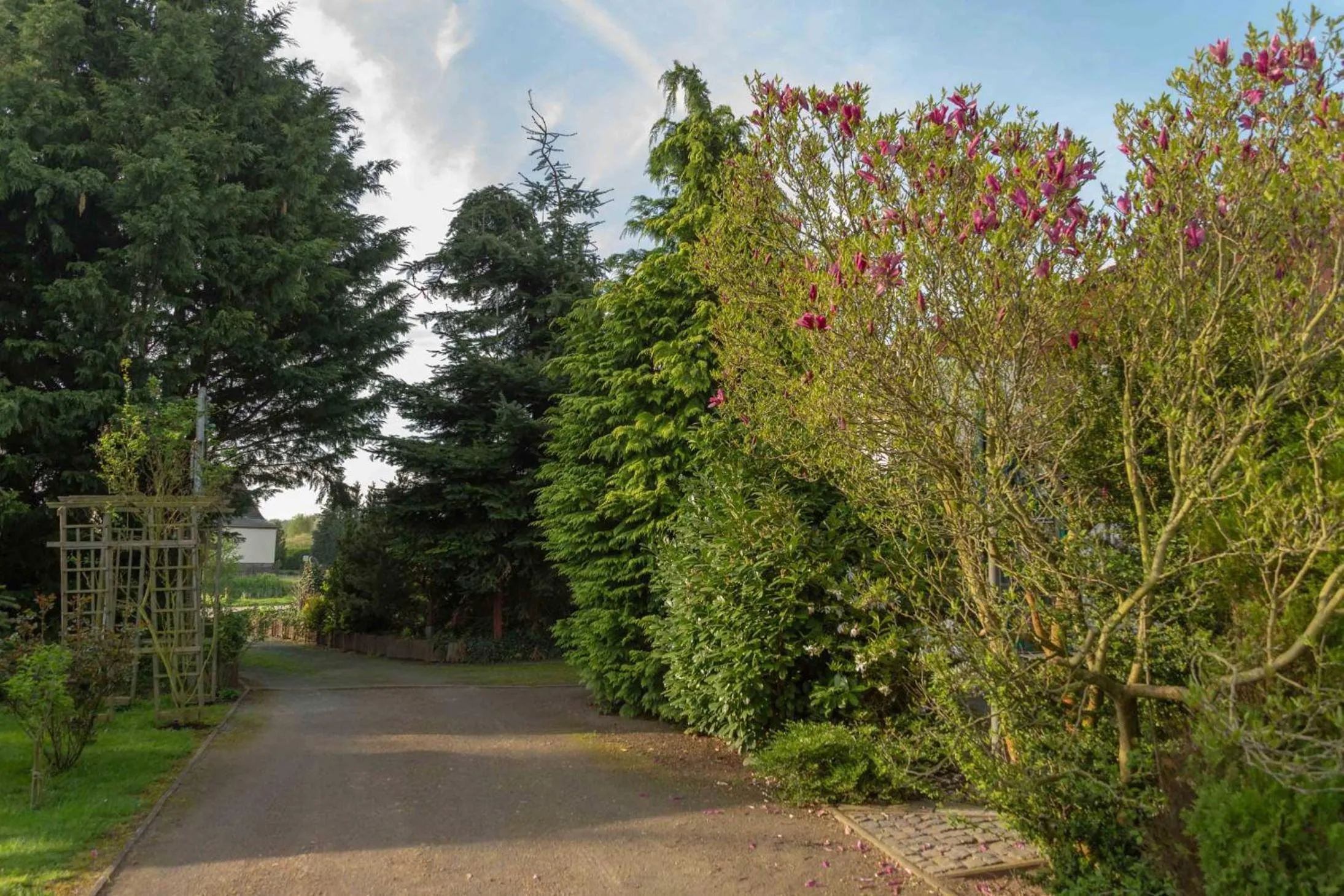 Garden in Pension zum Schwanenteich