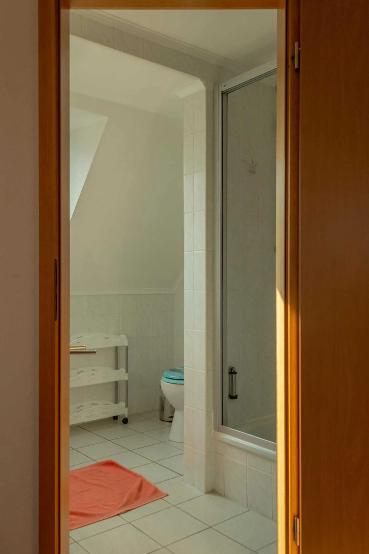 Bathroom in Pension zum Schwanenteich