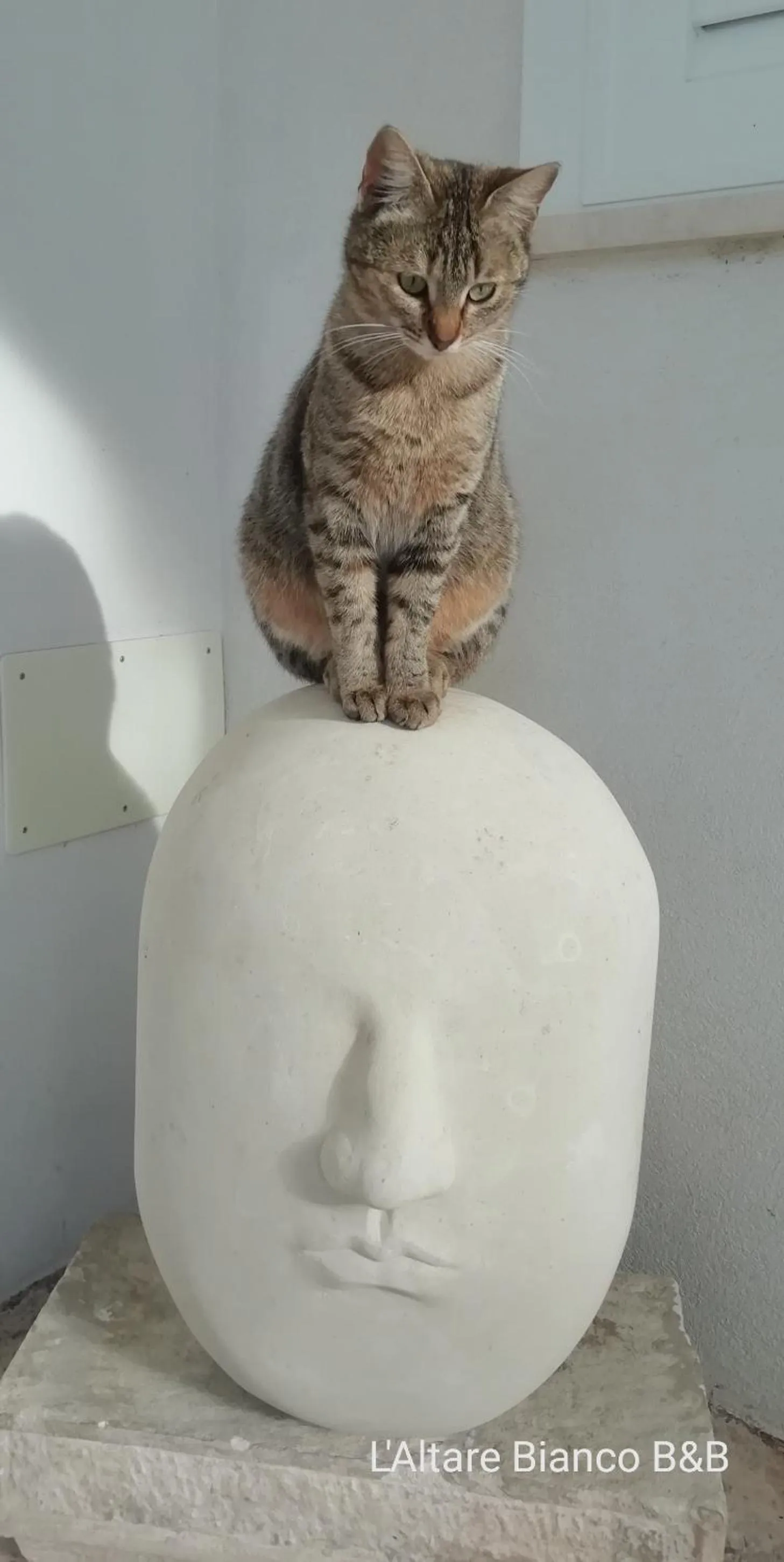 B&B L'Altare Bianco