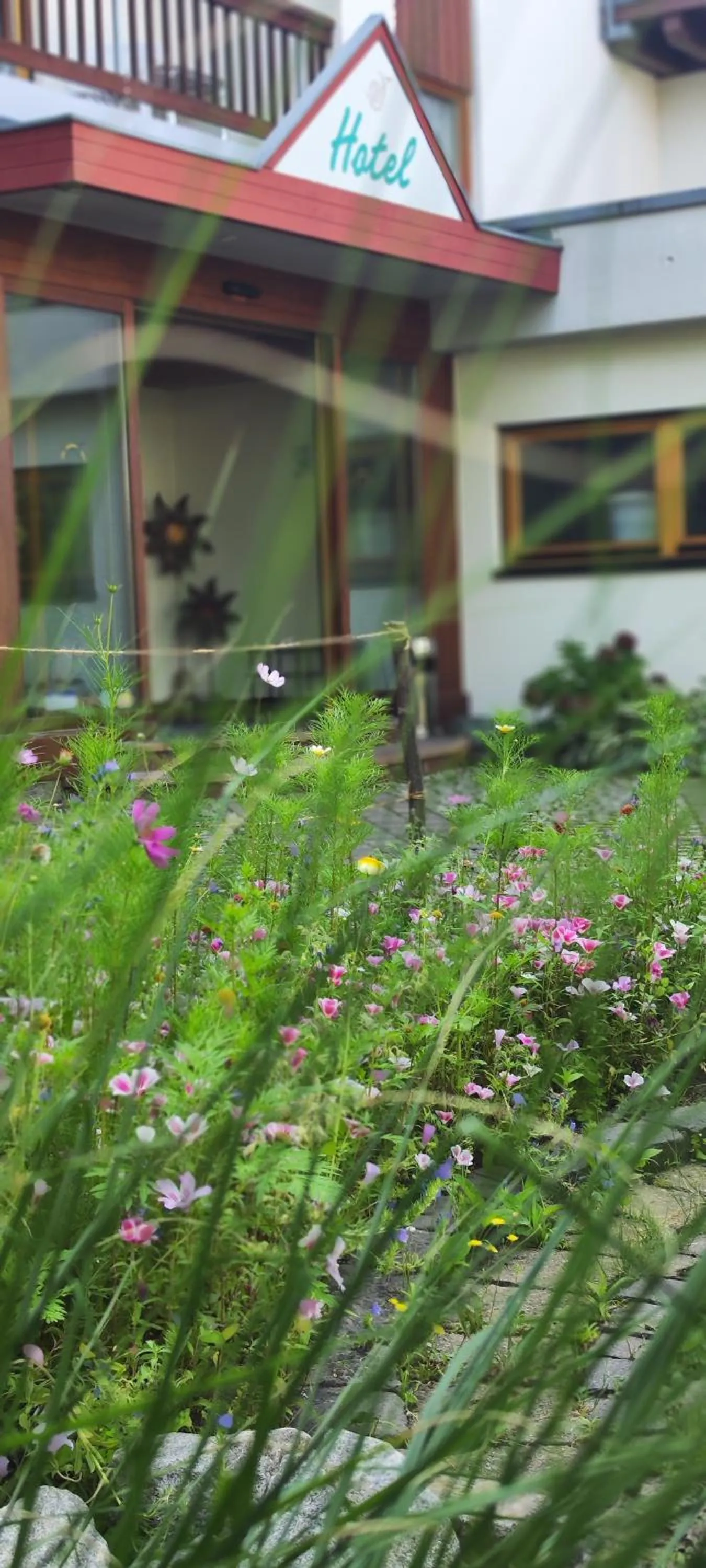 Property building in Hotel Waldhorn