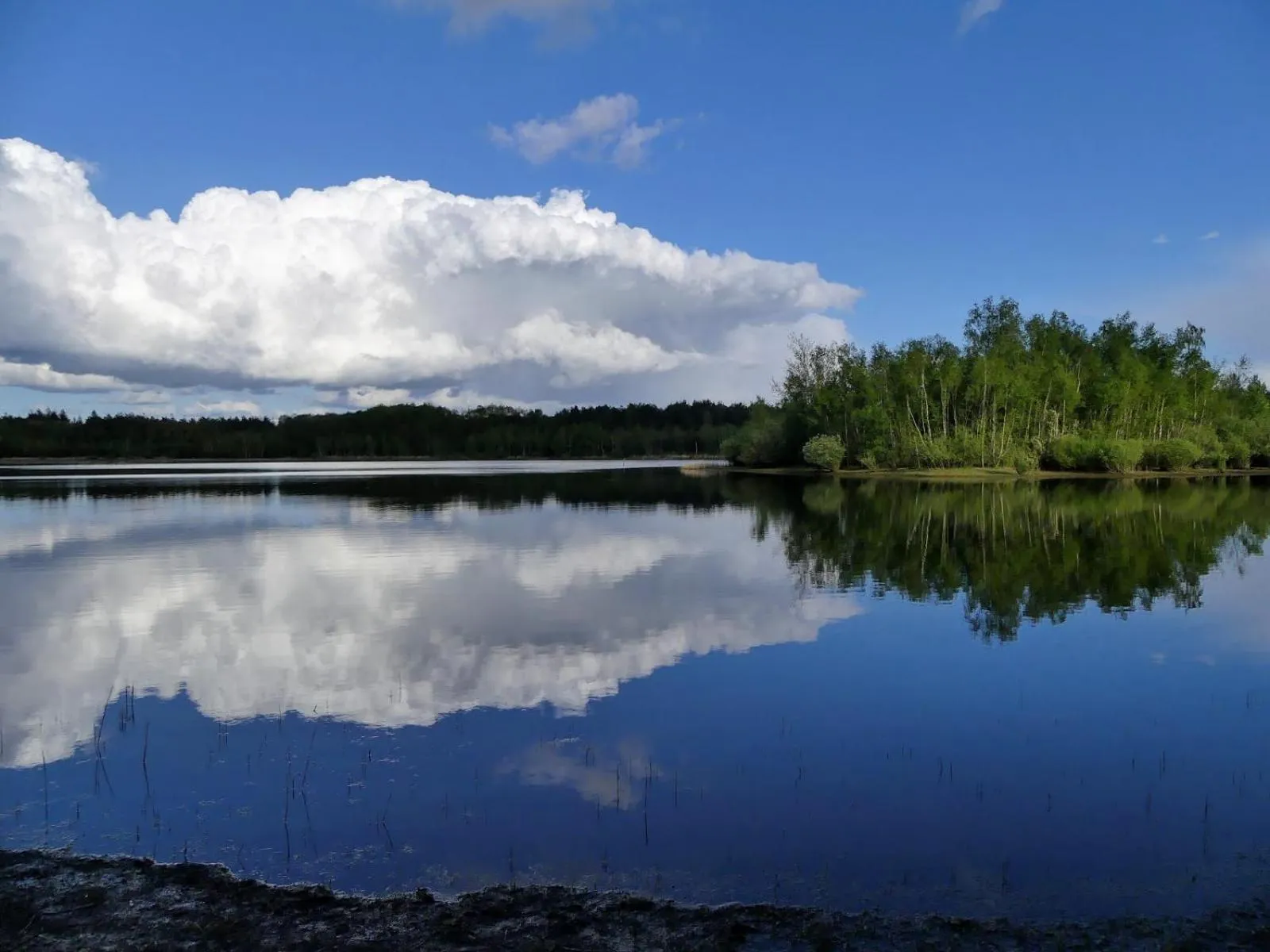 Natural landscape in De Posthoorn