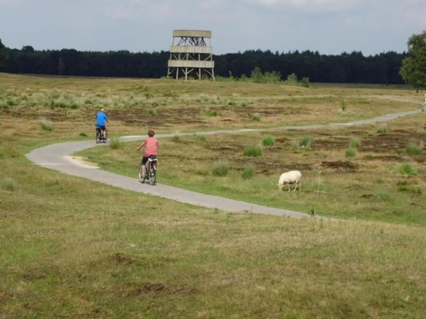 Activities in De Posthoorn