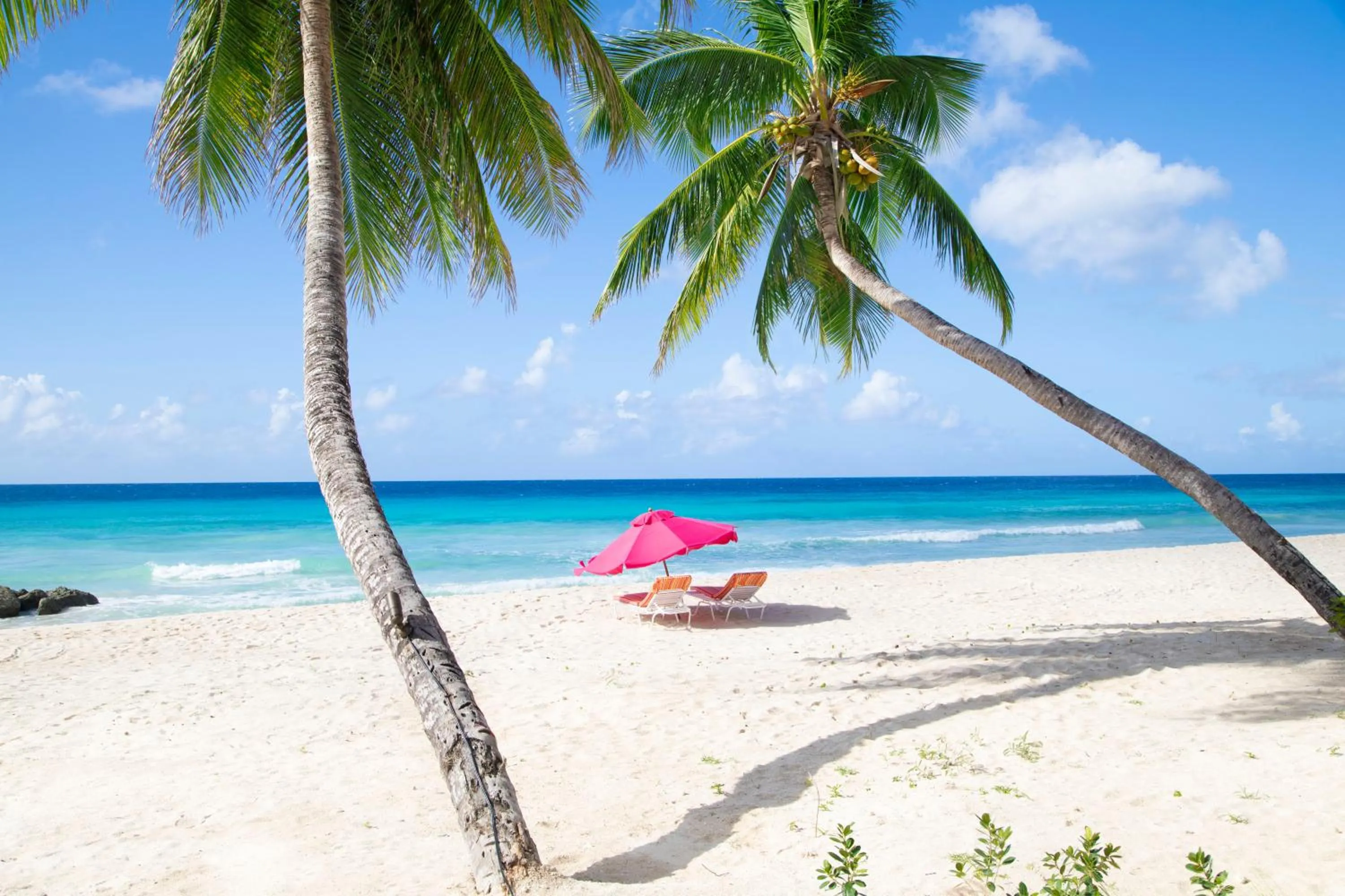 Beach in O2 Beach Club & Spa All Inclusive by Ocean Hotels