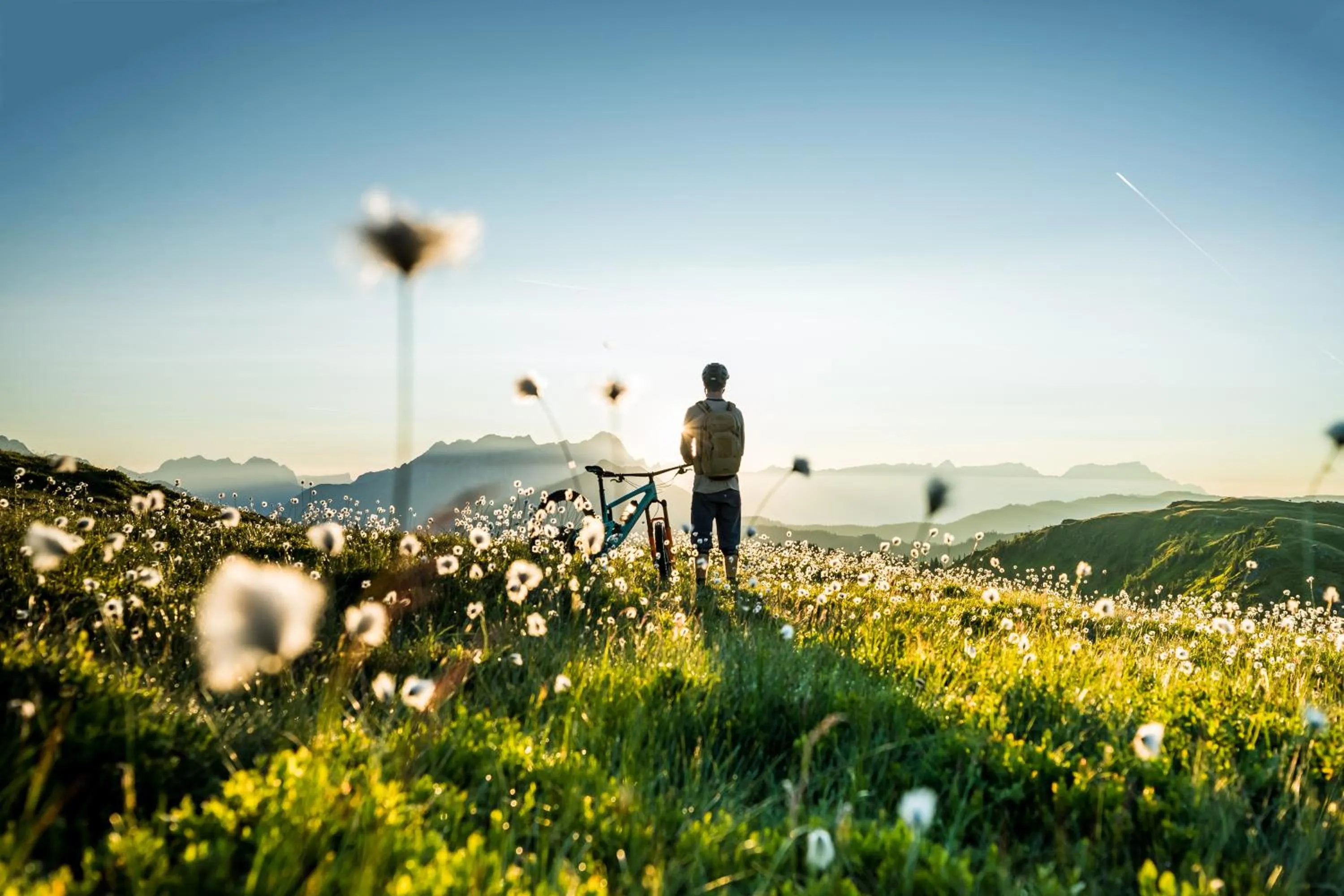Cycling in Wieshofgut