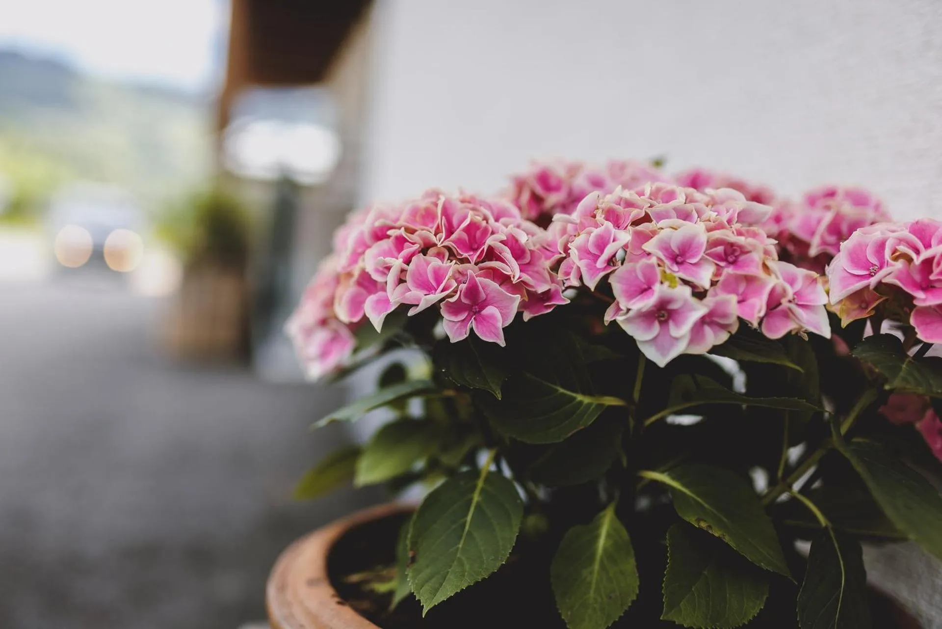 Off site in Wieshofgut