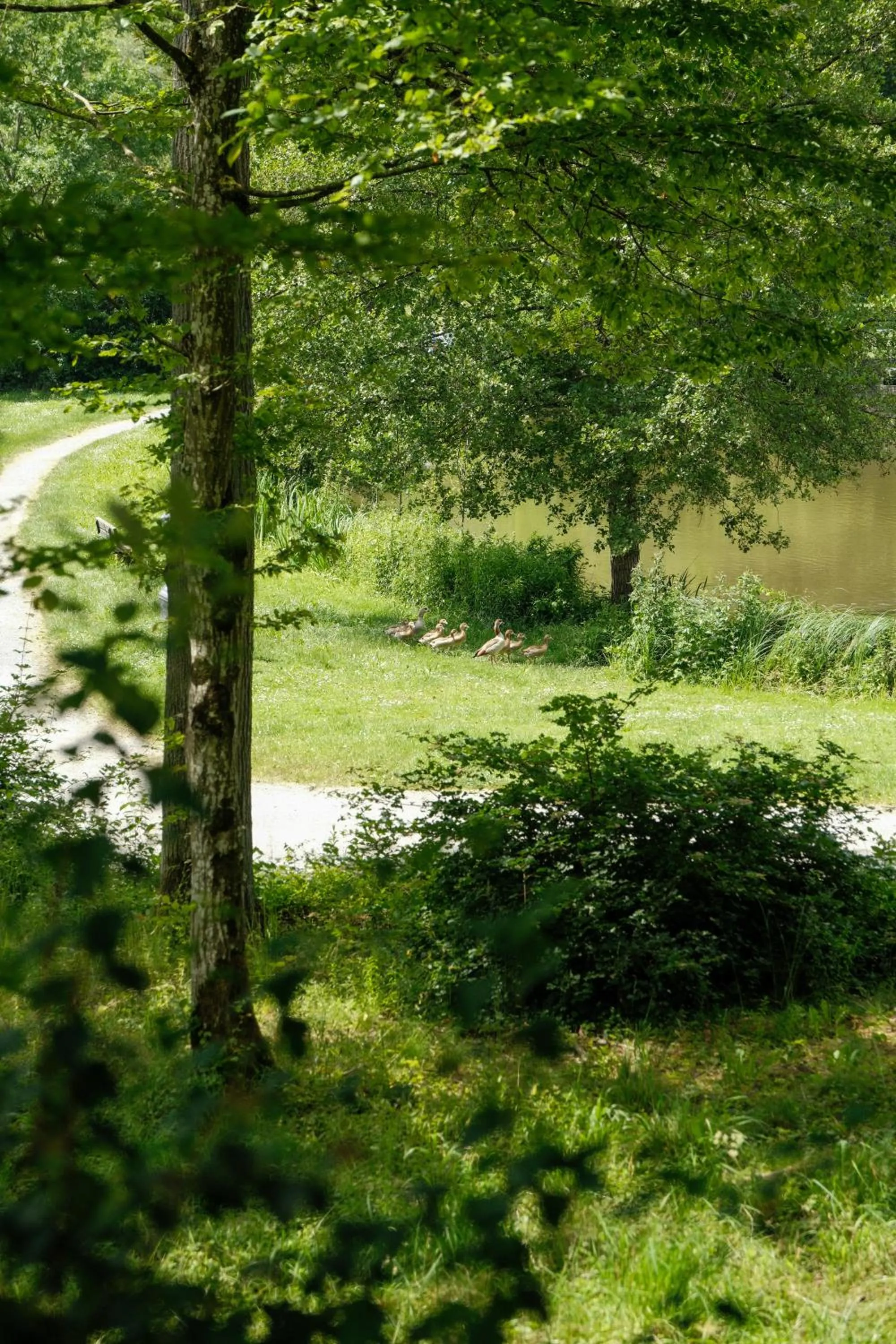 Spring in Hotel-Restaurant Kreuzberghof Tagungs- und Veranstaltungshotel