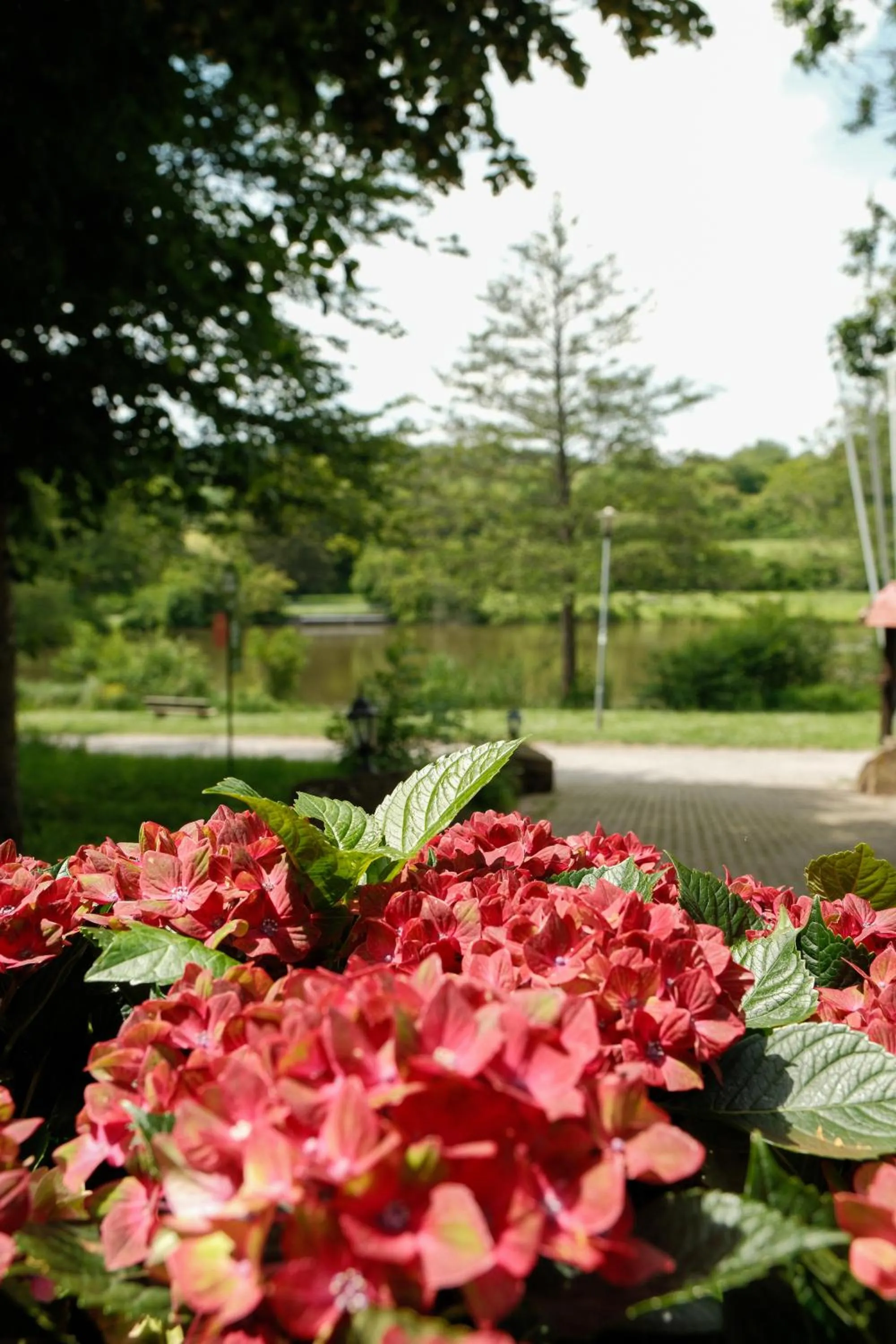Garden in Hotel-Restaurant Kreuzberghof Tagungs- und Veranstaltungshotel