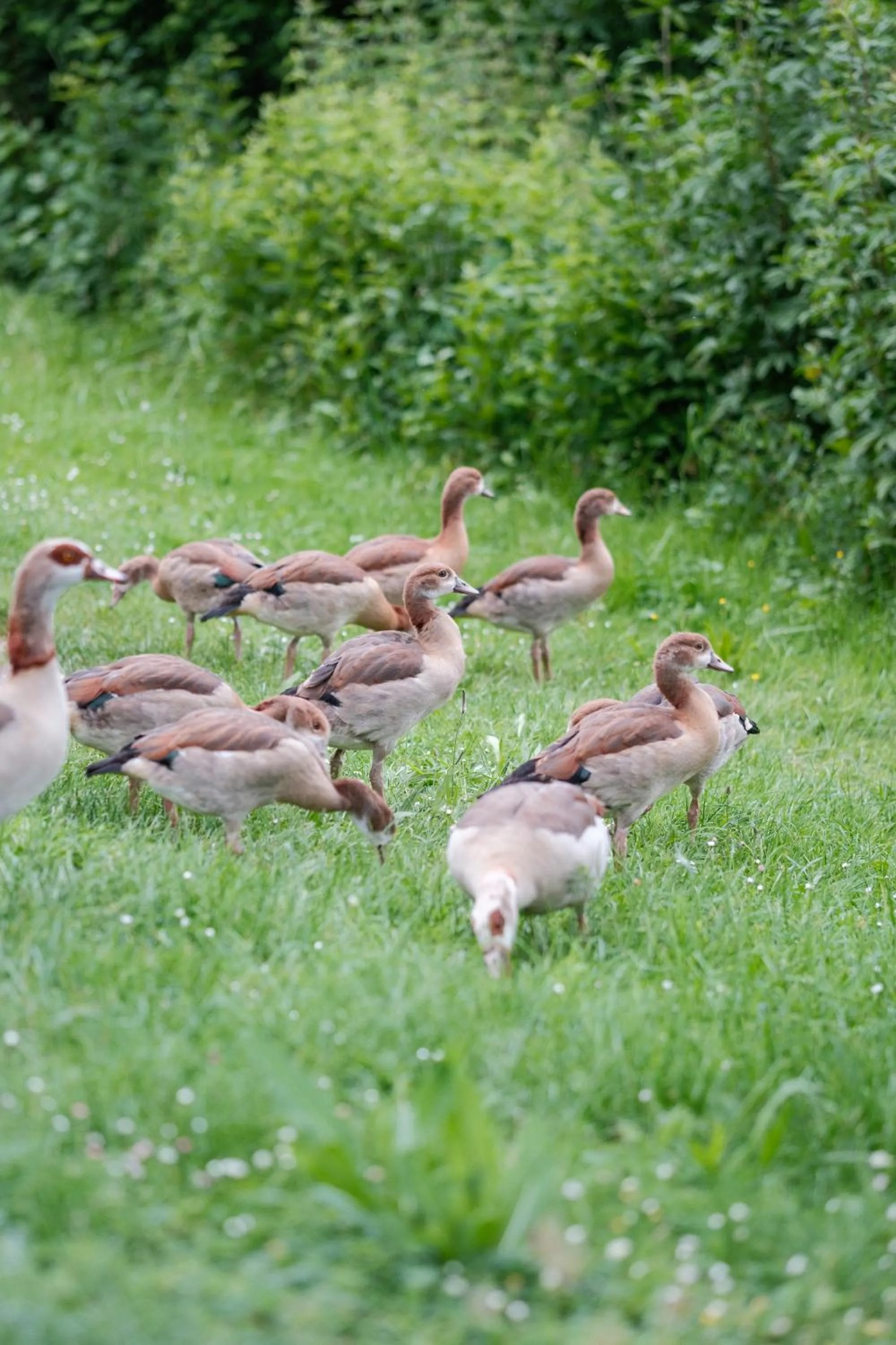 Spring in Hotel-Restaurant Kreuzberghof Tagungs- und Veranstaltungshotel