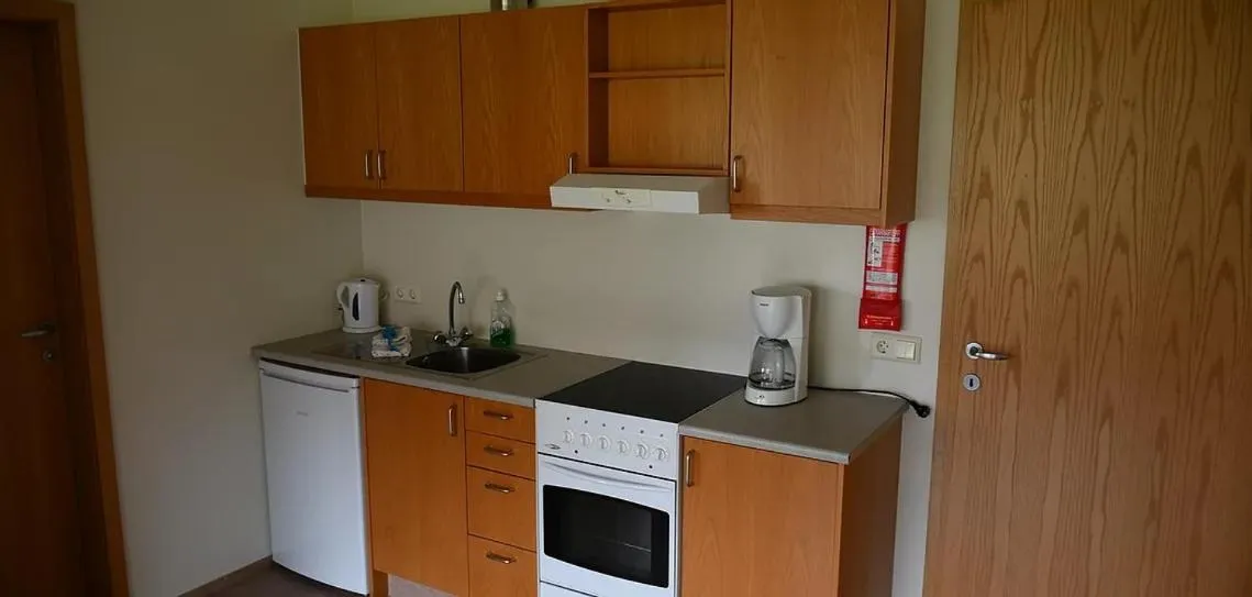 Kitchen or kitchenette in Kaffi Holar Cottages and Apartments