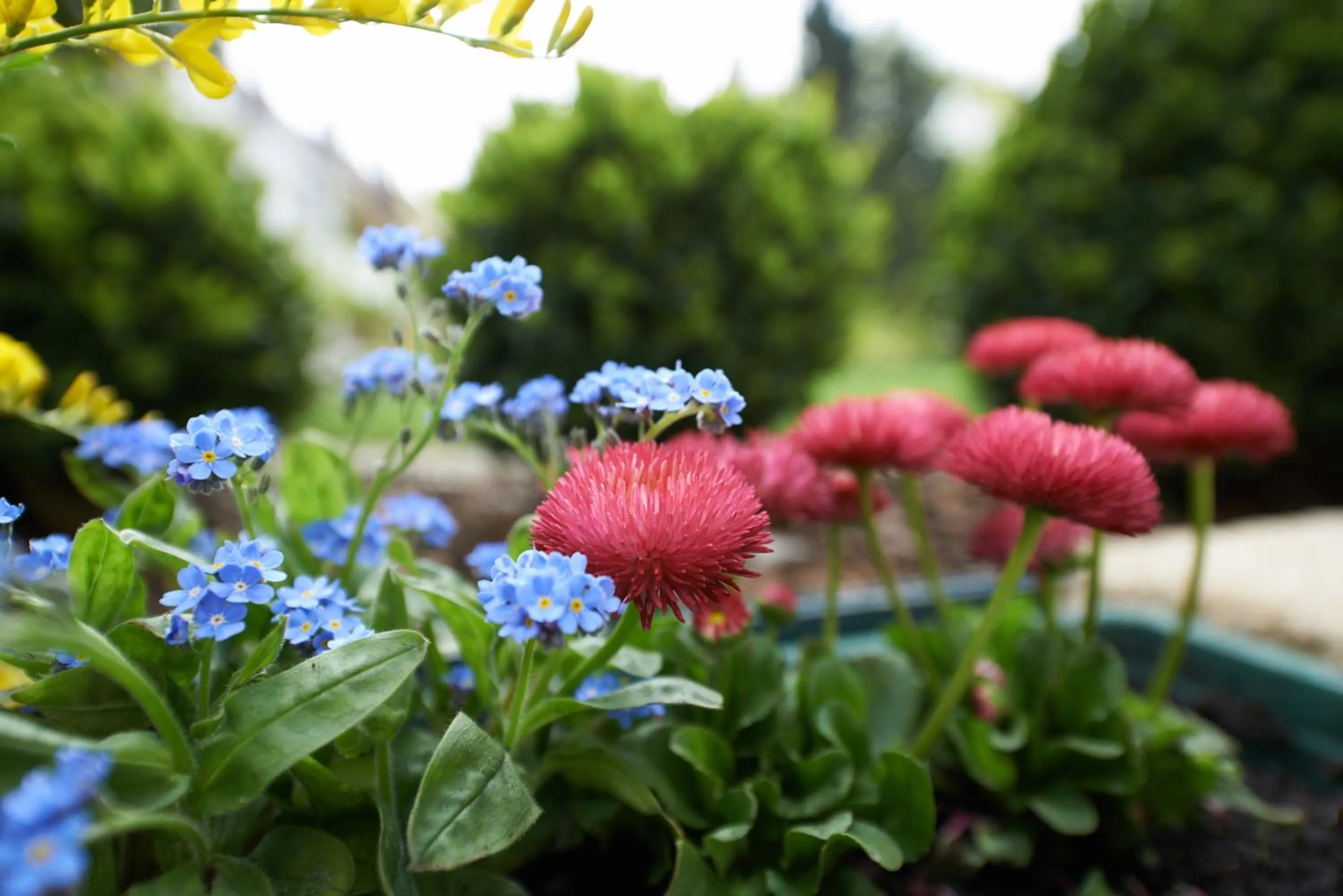 Balcony/Terrace in Hotel Klughardt