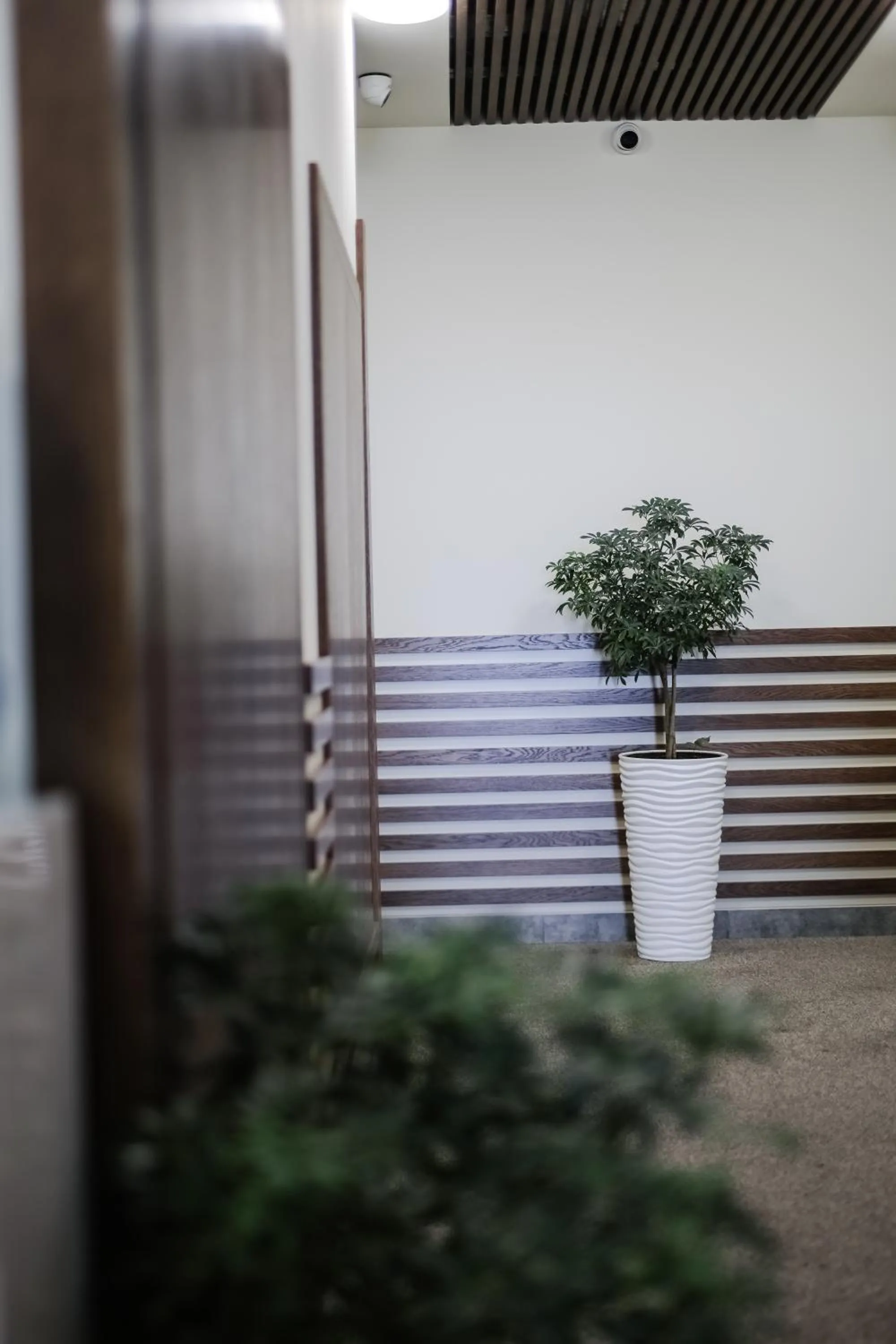 Area and facilities in Rooftop Apart-Hotel