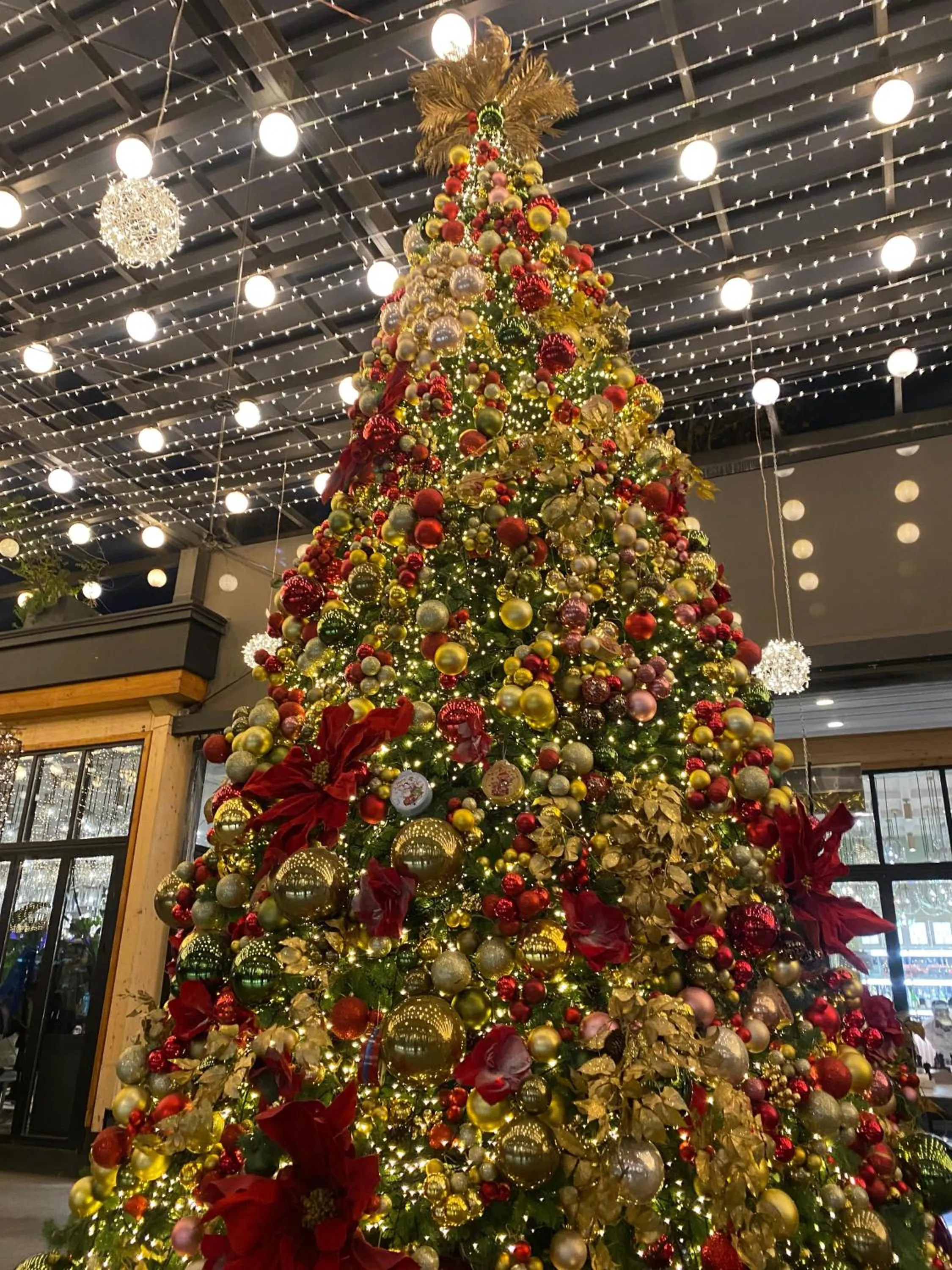 Neighbourhood in Rooftop Apart-Hotel