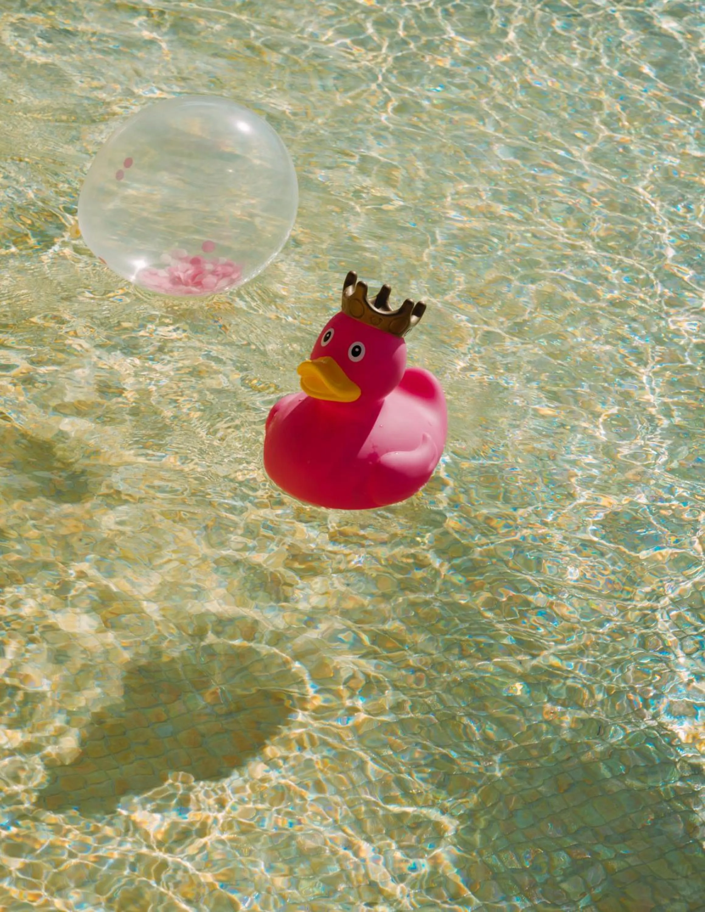 Day in NEXT - by Savoy Signature