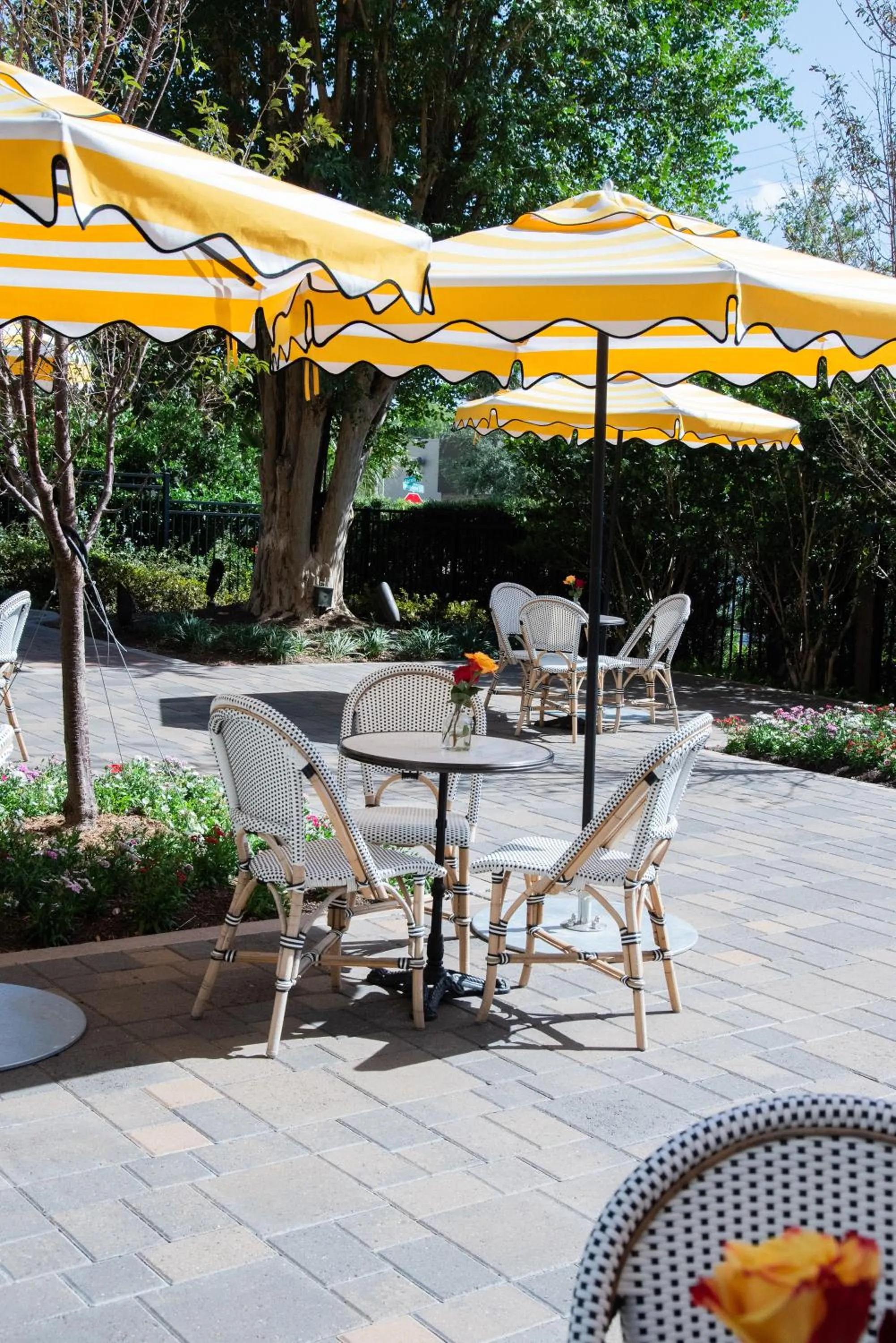 Patio in La Colombe d'Or Hotel