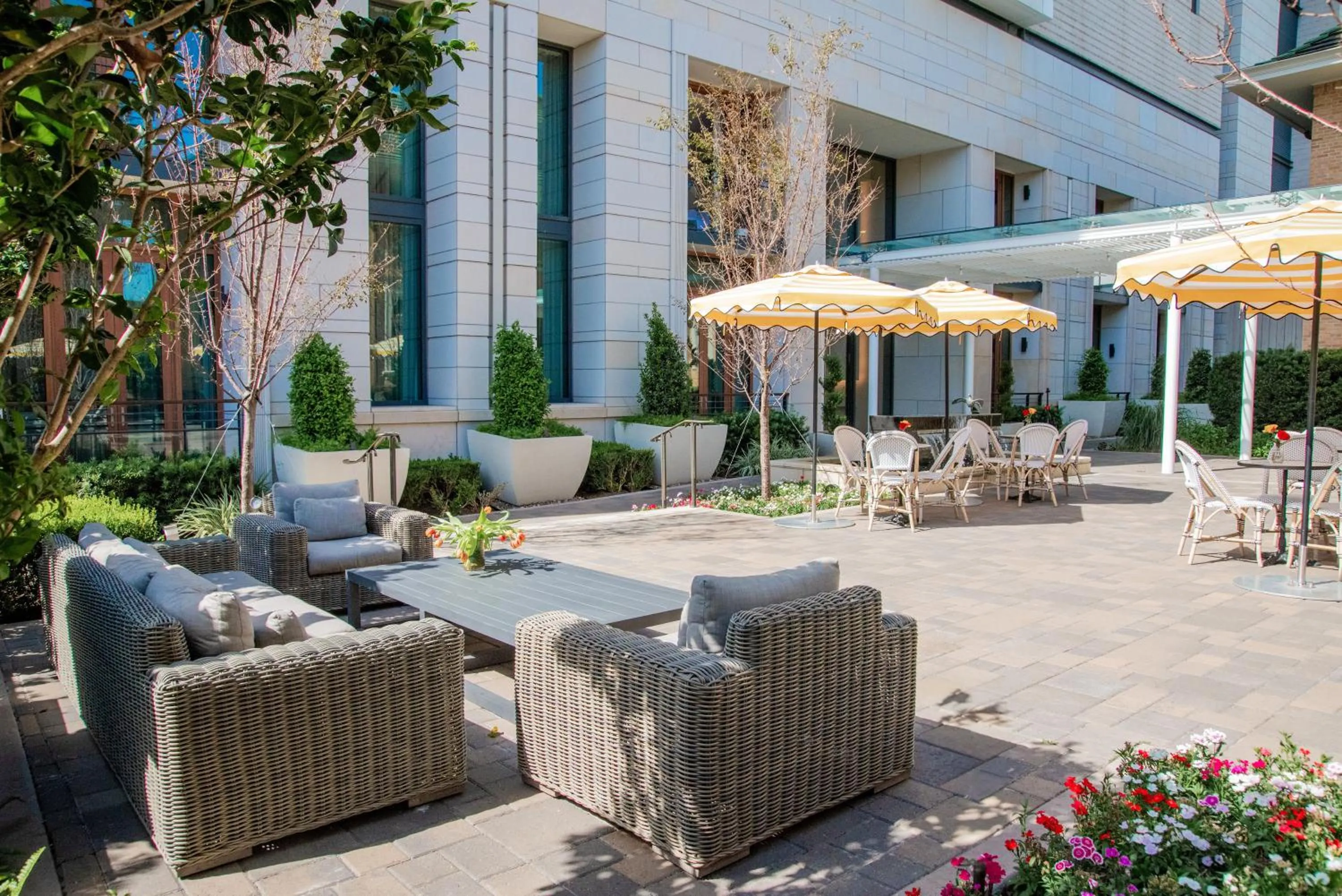 Patio in La Colombe d'Or Hotel