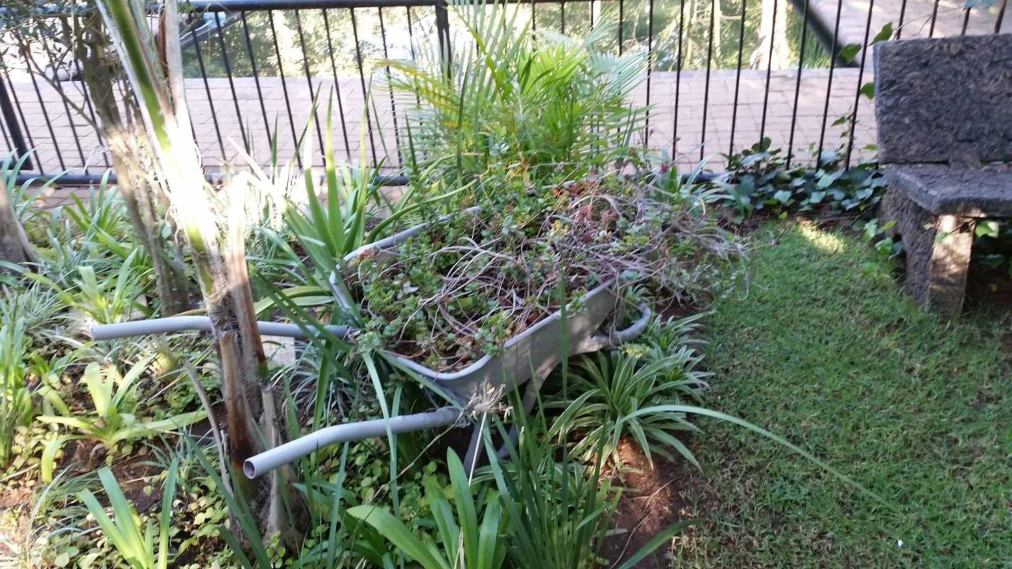 Country Blue Luxury Guest House