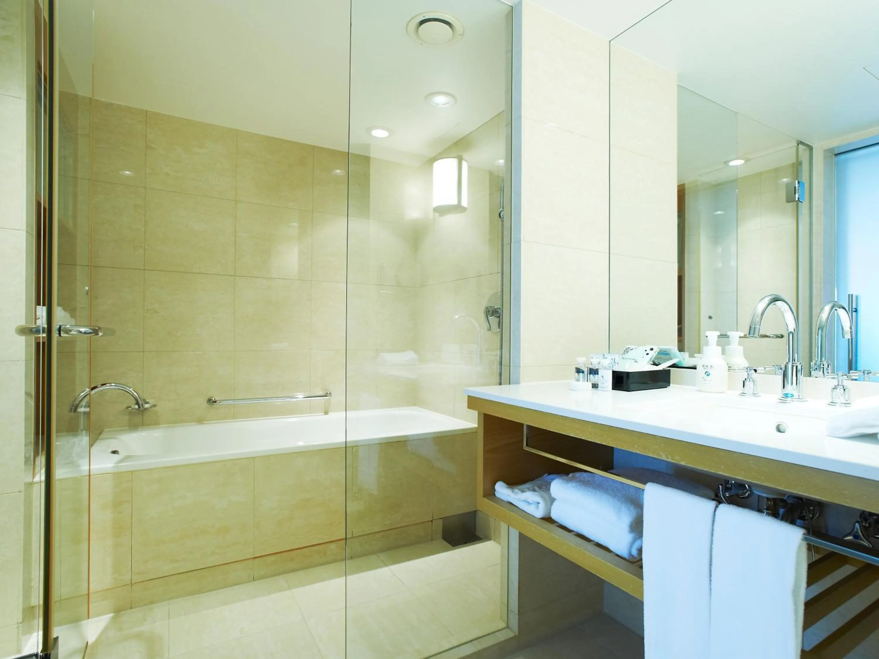 Bathroom in Kobe Portopia Hotel