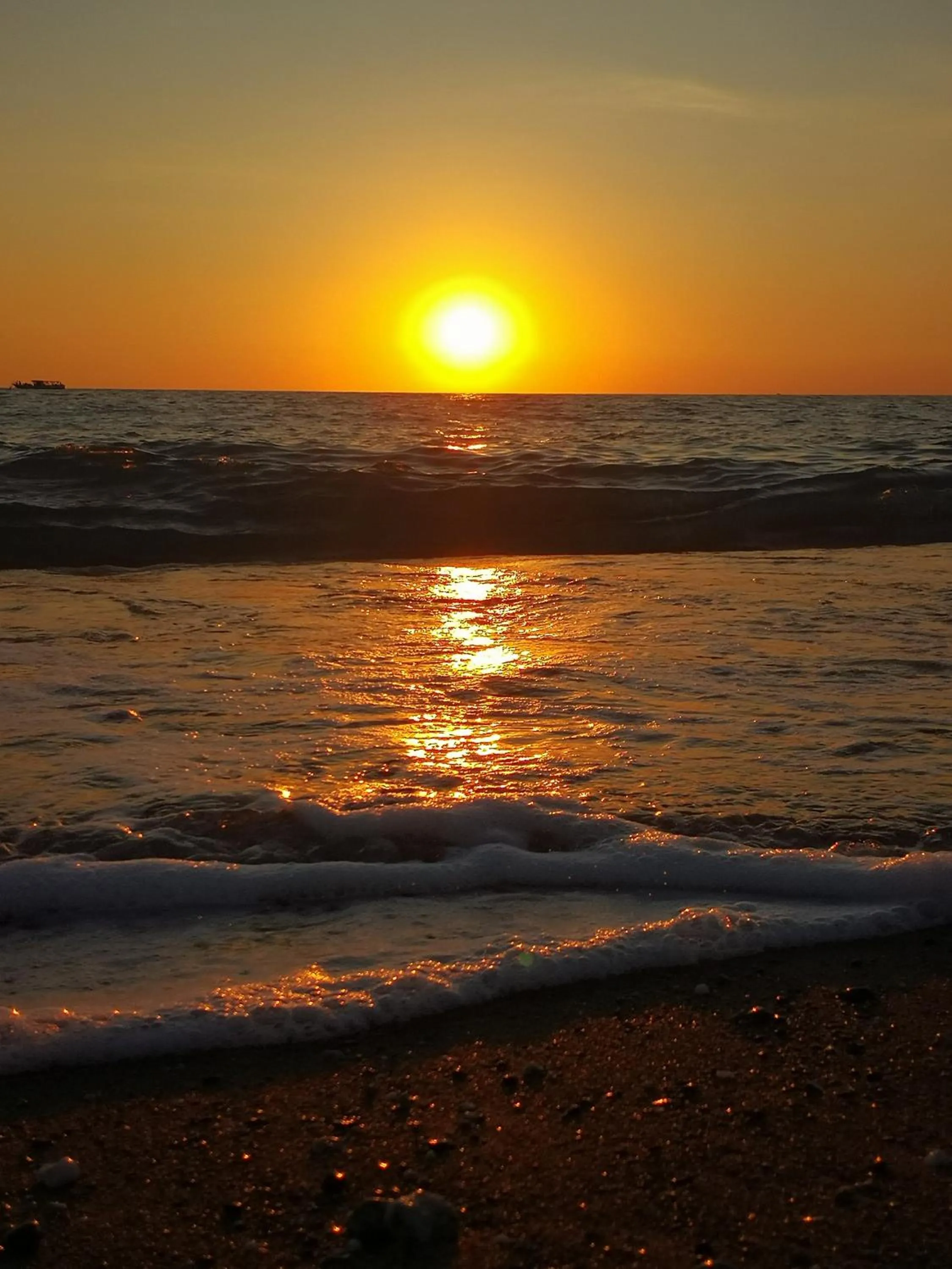 Beach in Bed & Breakfast Domus Pepe Scalea