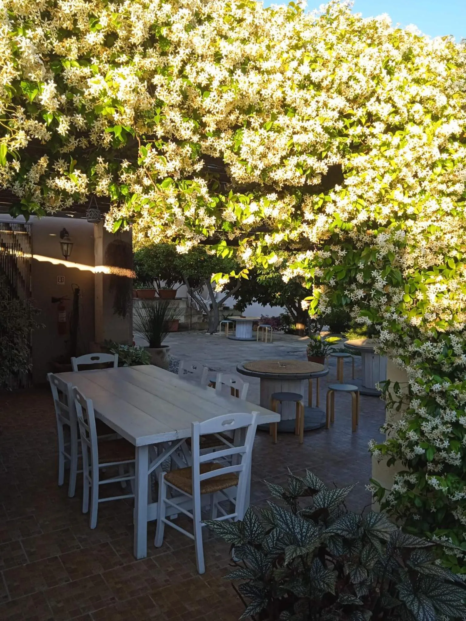 Garden in B&B Le Carrube