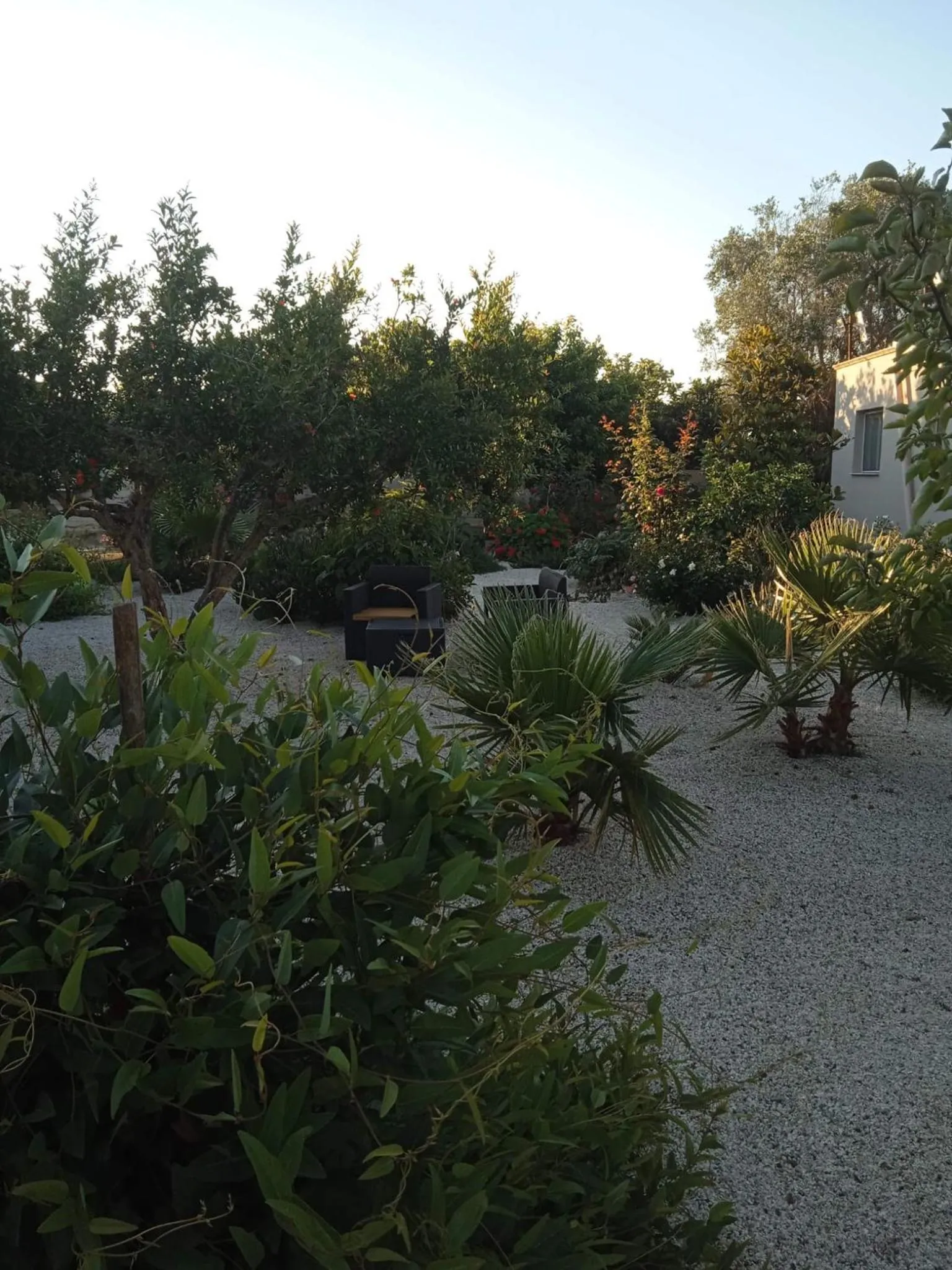 Garden in B&B Le Carrube