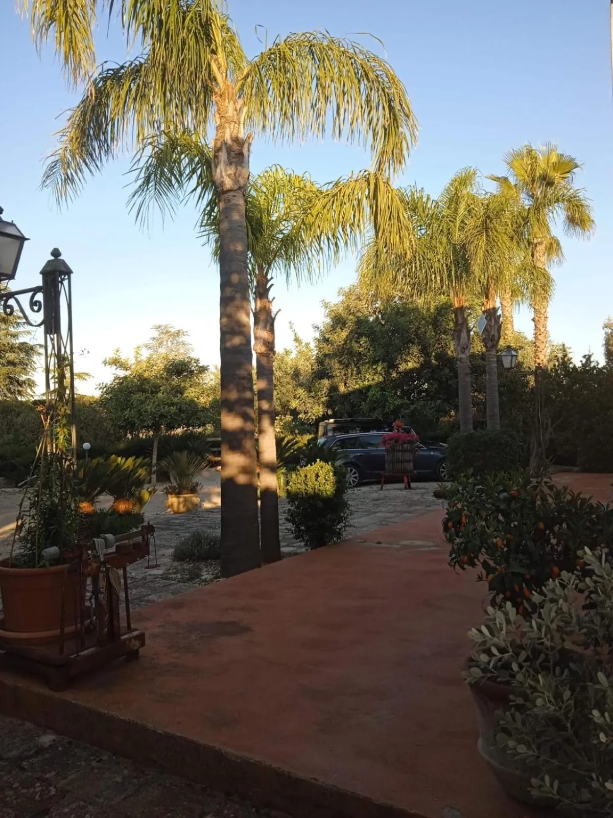 Garden in B&B Le Carrube