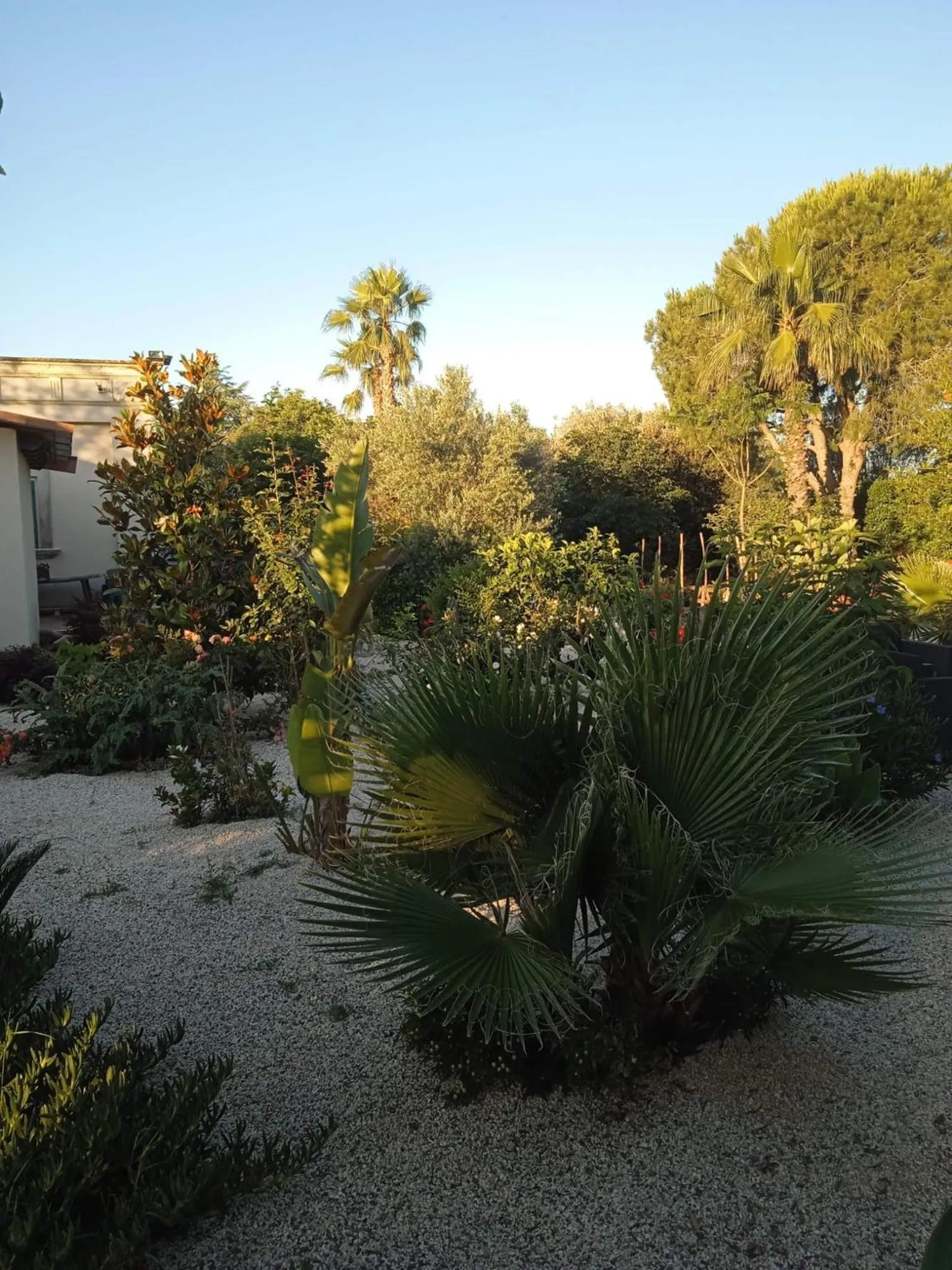 Garden in B&B Le Carrube