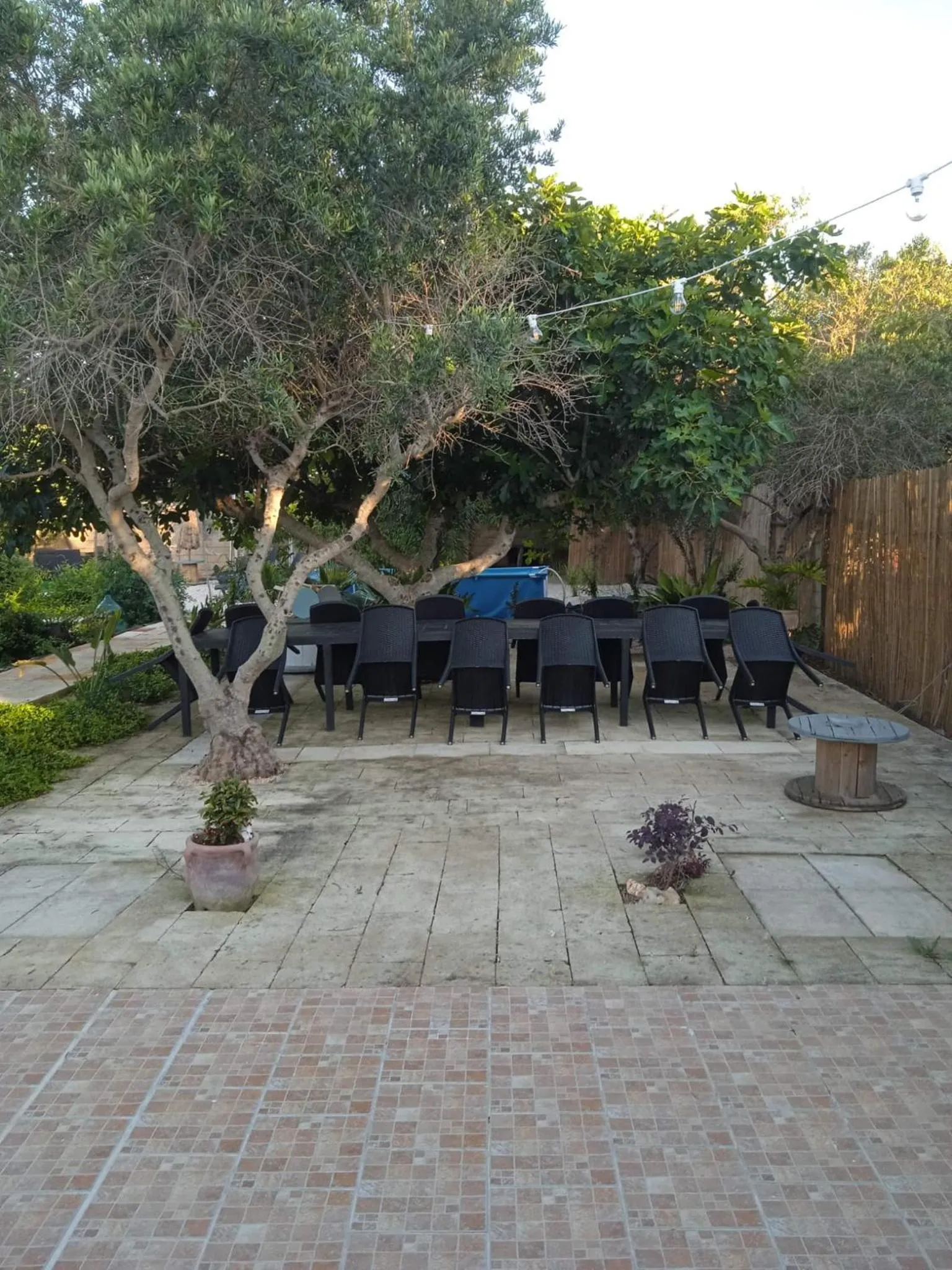 Garden in B&B Le Carrube