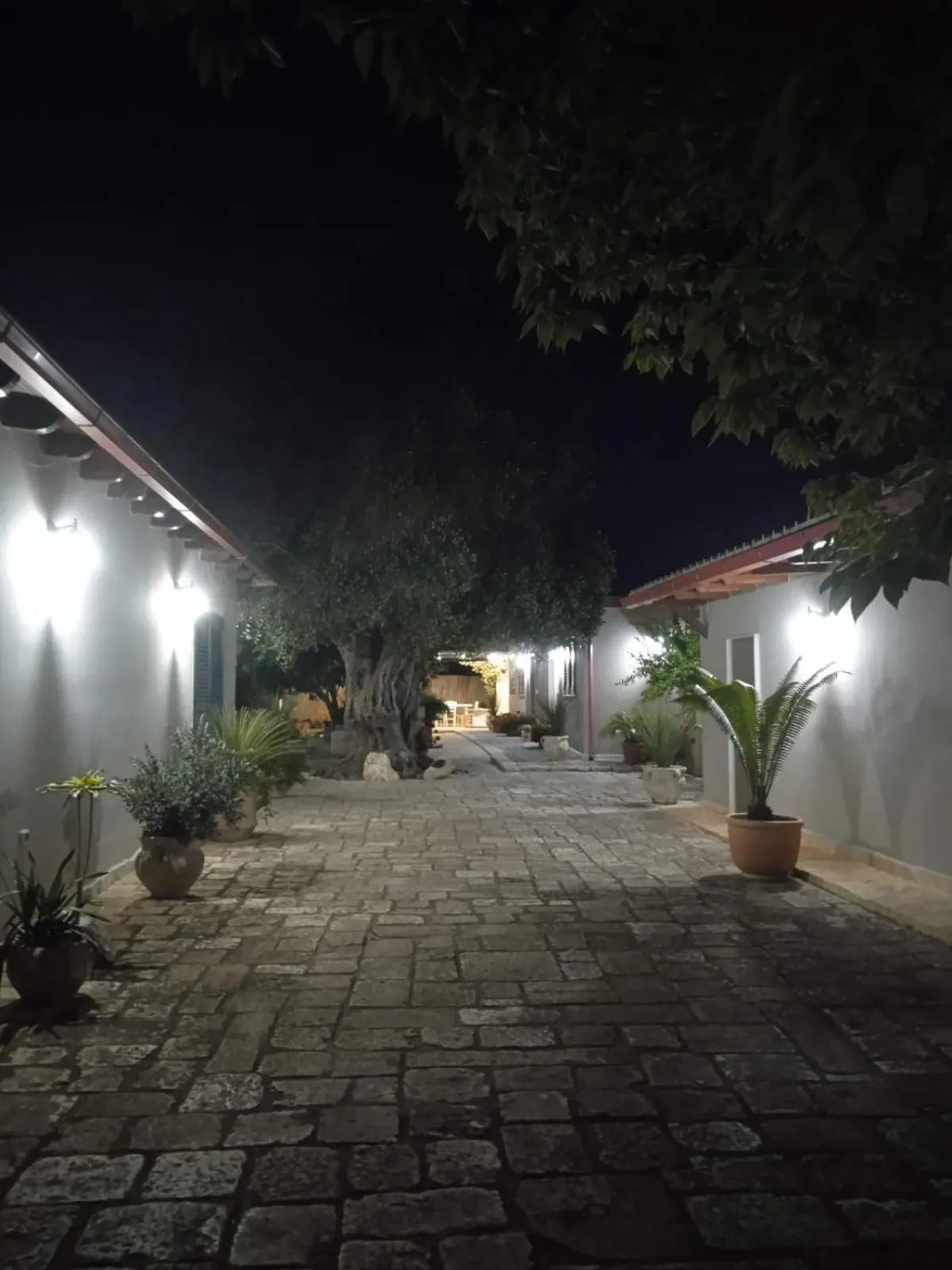 Garden view in B&B Le Carrube