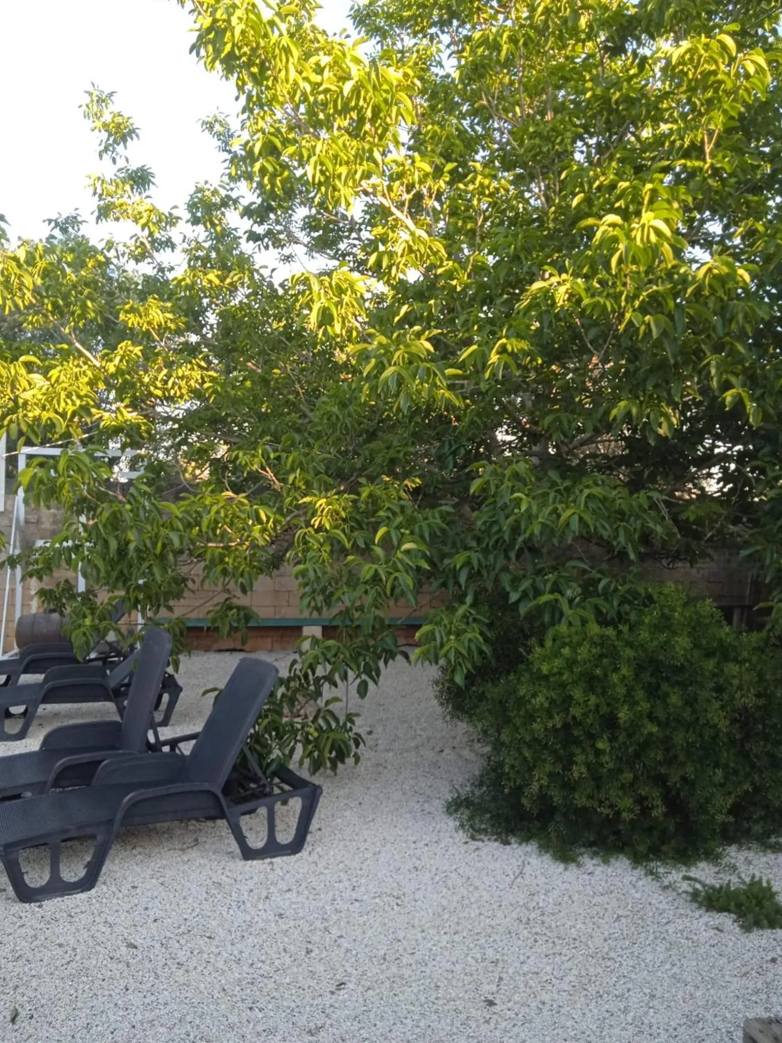 Garden in B&B Le Carrube