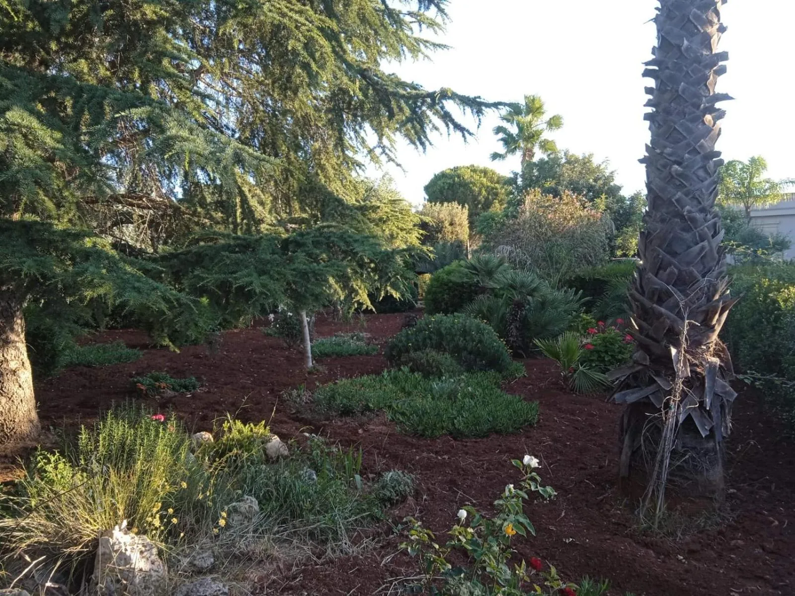 Garden in B&B Le Carrube