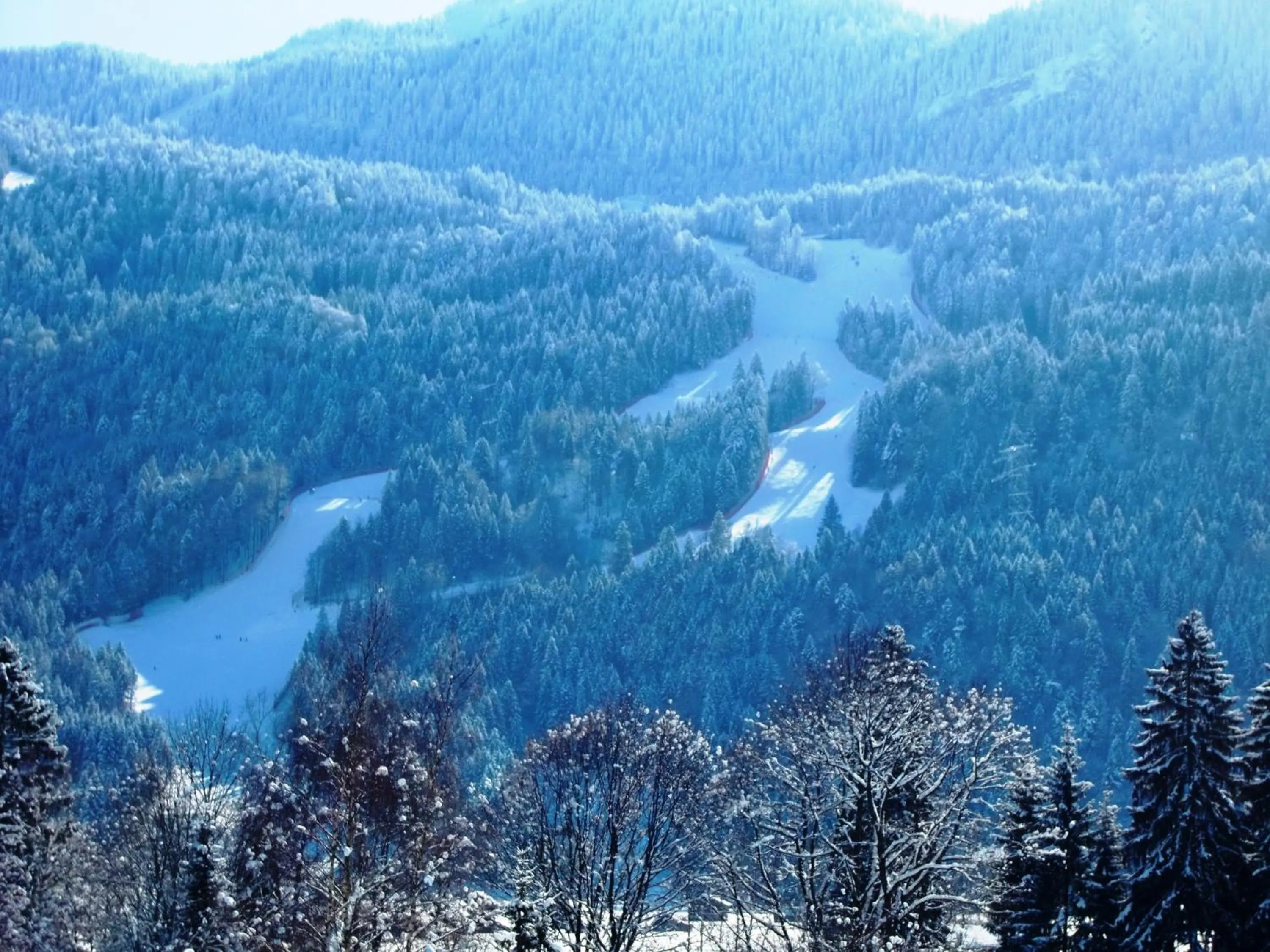 View (from property/room) in Grainauer Hof