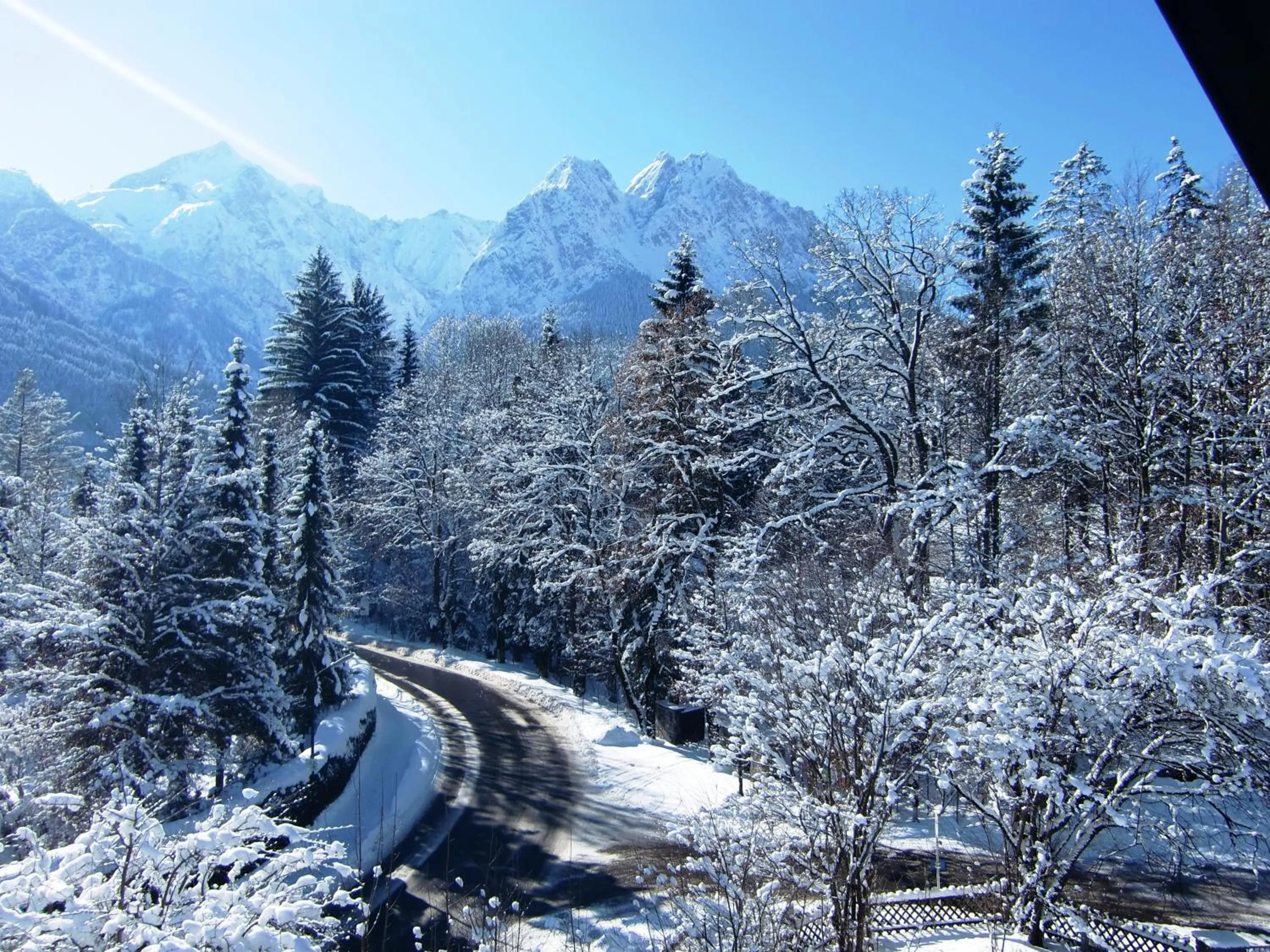 View (from property/room) in Grainauer Hof